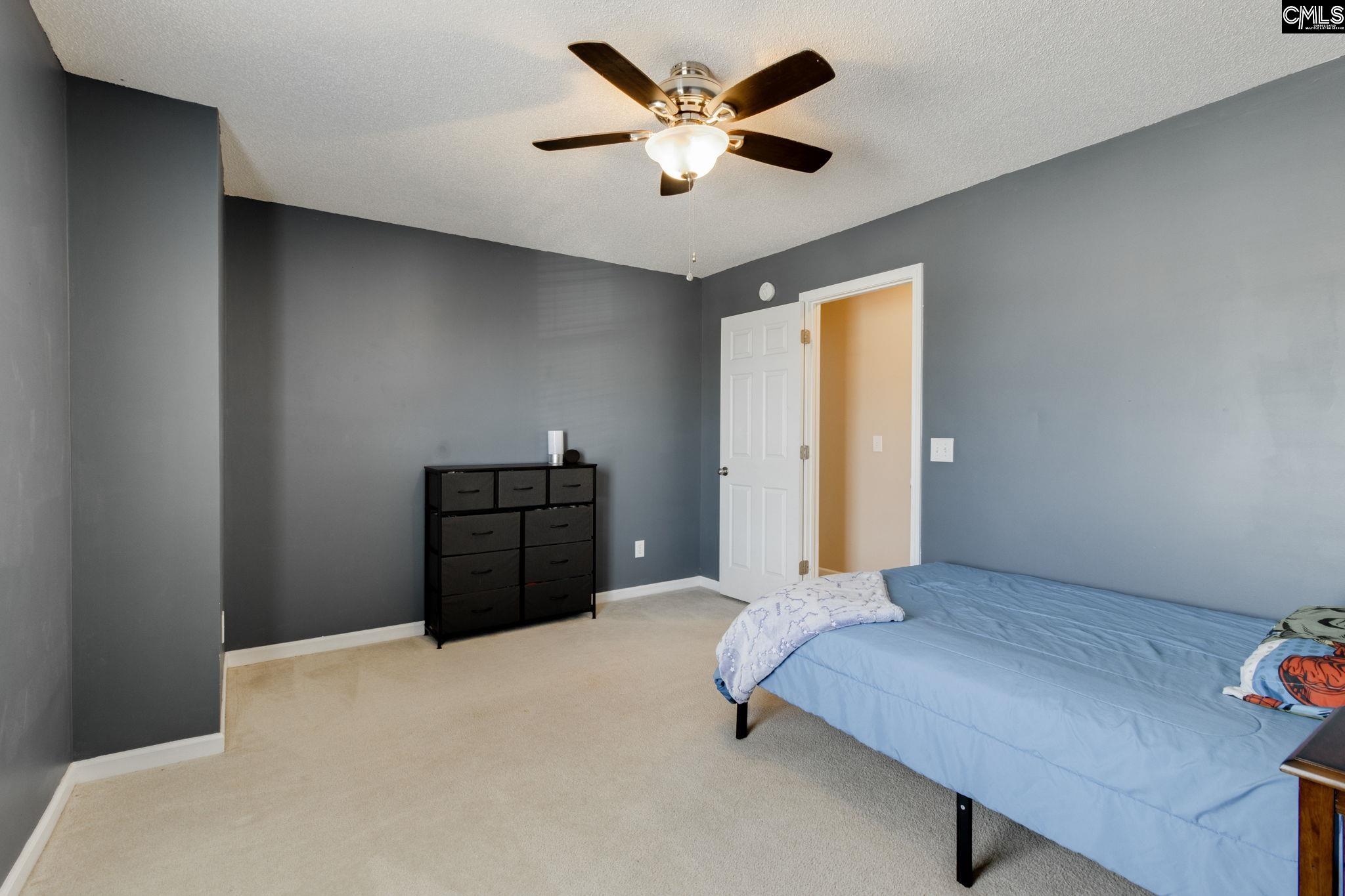 316 Turkey Beard Court Chapin, SC 29036-7326