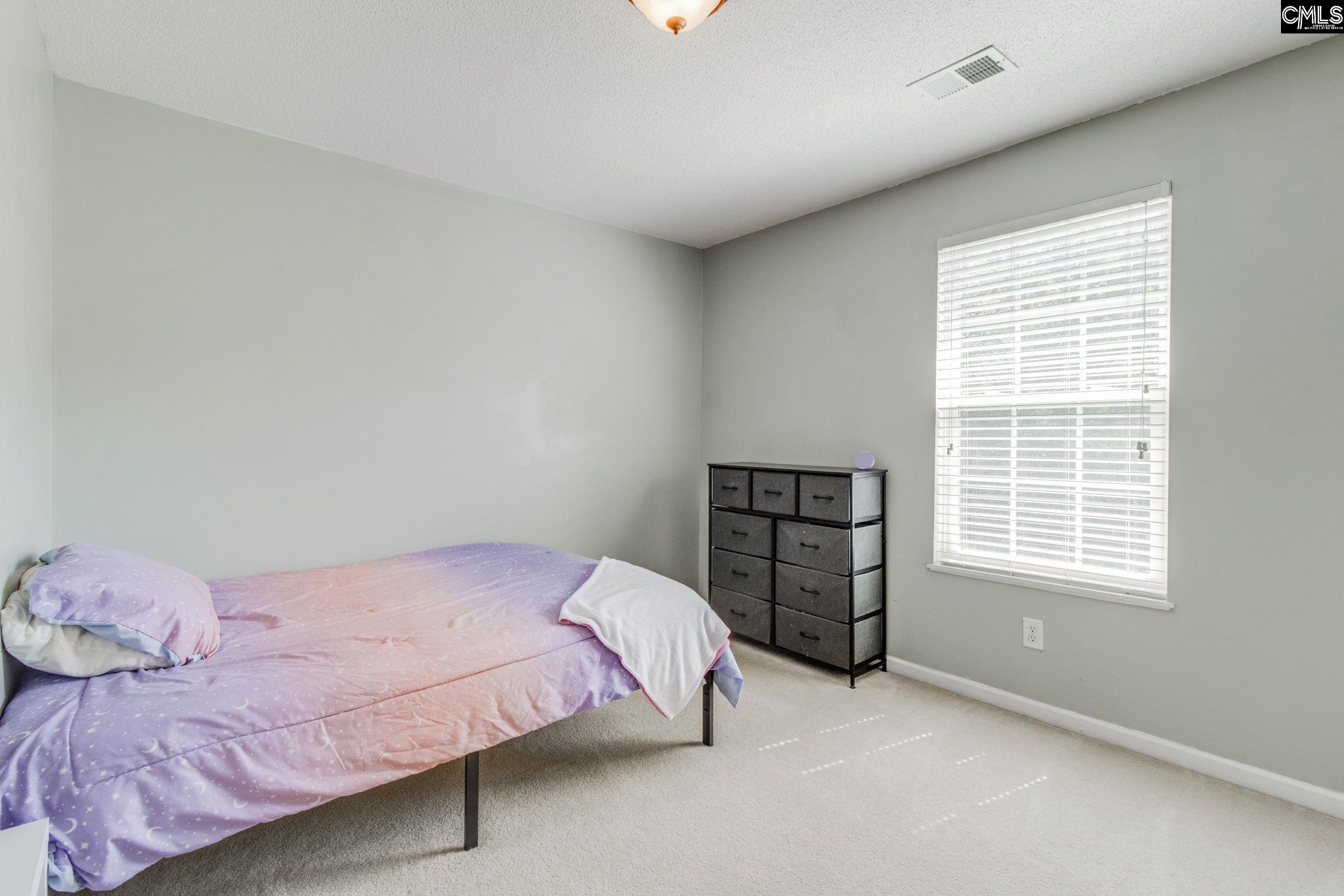 316 Turkey Beard Court Chapin, SC 29036-7326