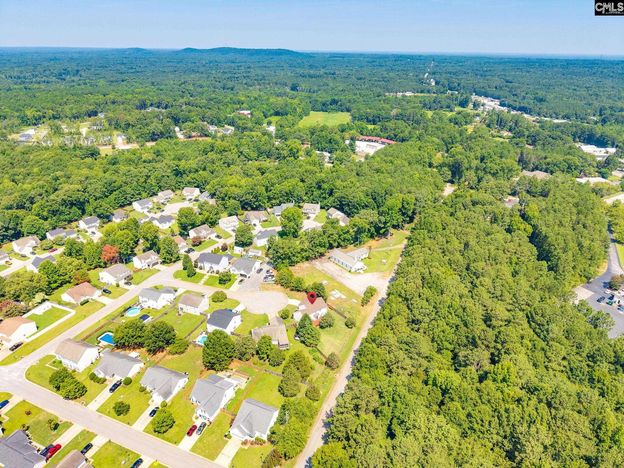 316 Turkey Beard Court Chapin, SC 29036-7326