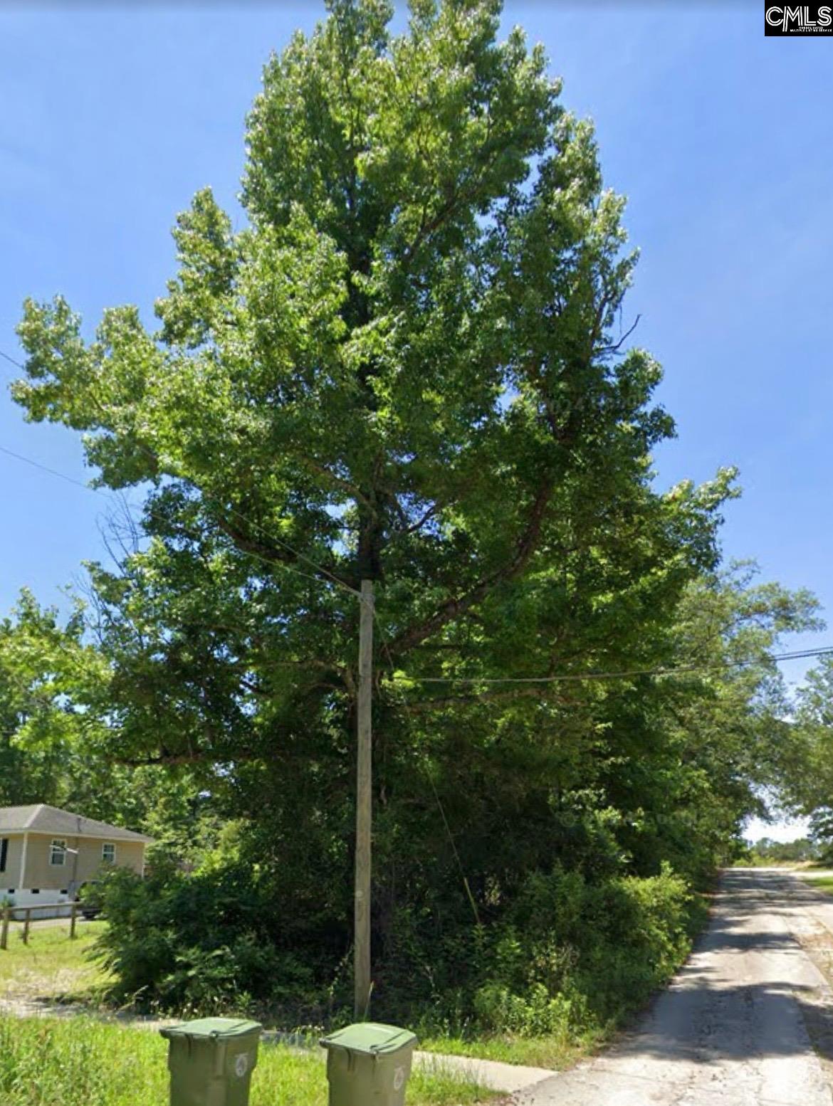 275 Boney Road Blythewood, SC 29016