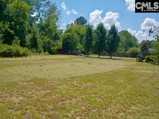 126 Dry Branch Way Hopkins, SC 29061