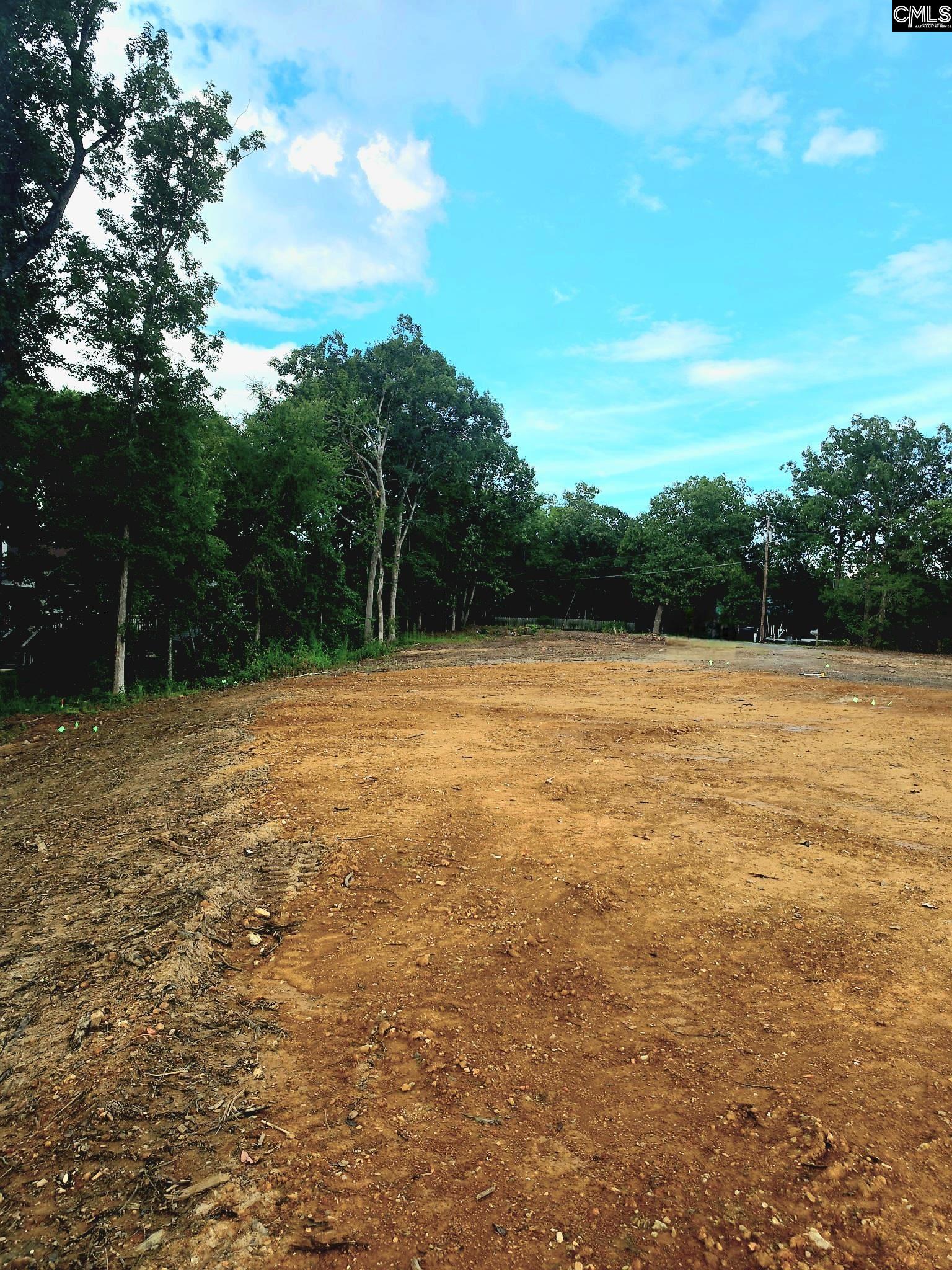 748 Crystal Lake Circle Chapin, SC 29036