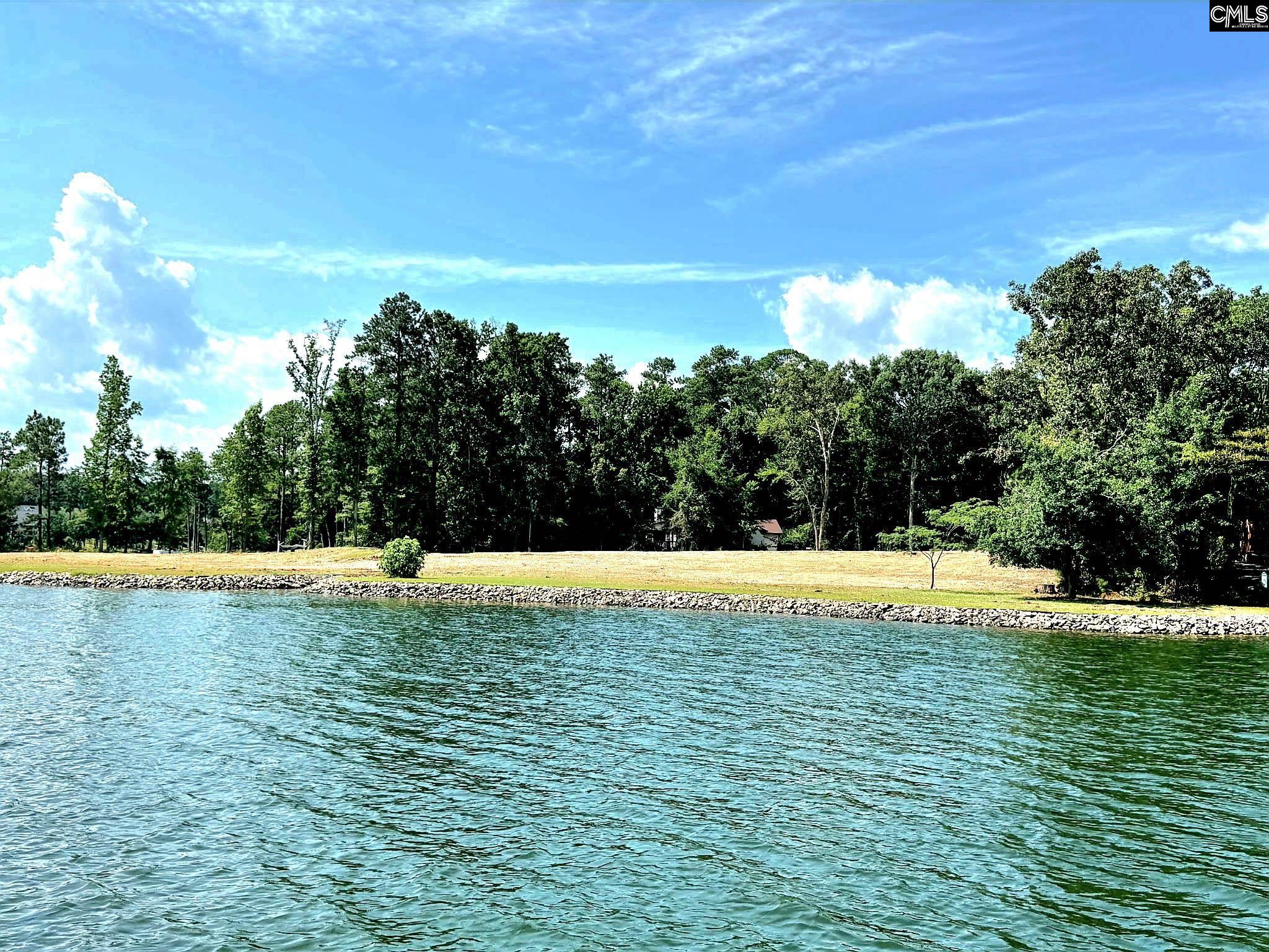 748 Crystal Lake Circle Chapin, SC 29036
