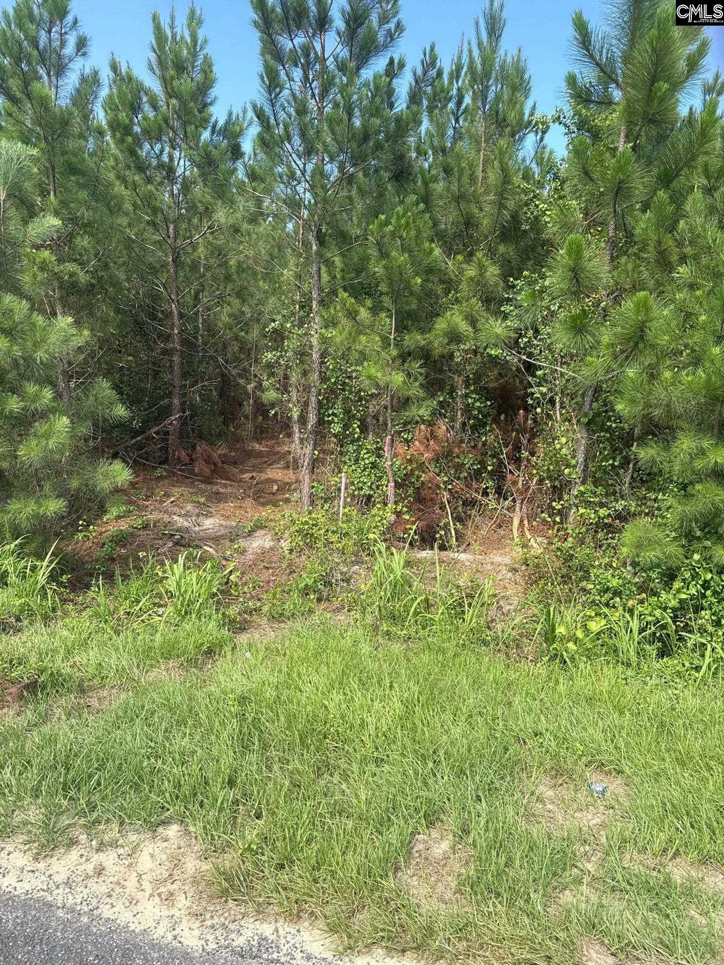 MPF 4 State Rd S-28-31 Road UNIT MPF 4 Jefferson, SC 29718