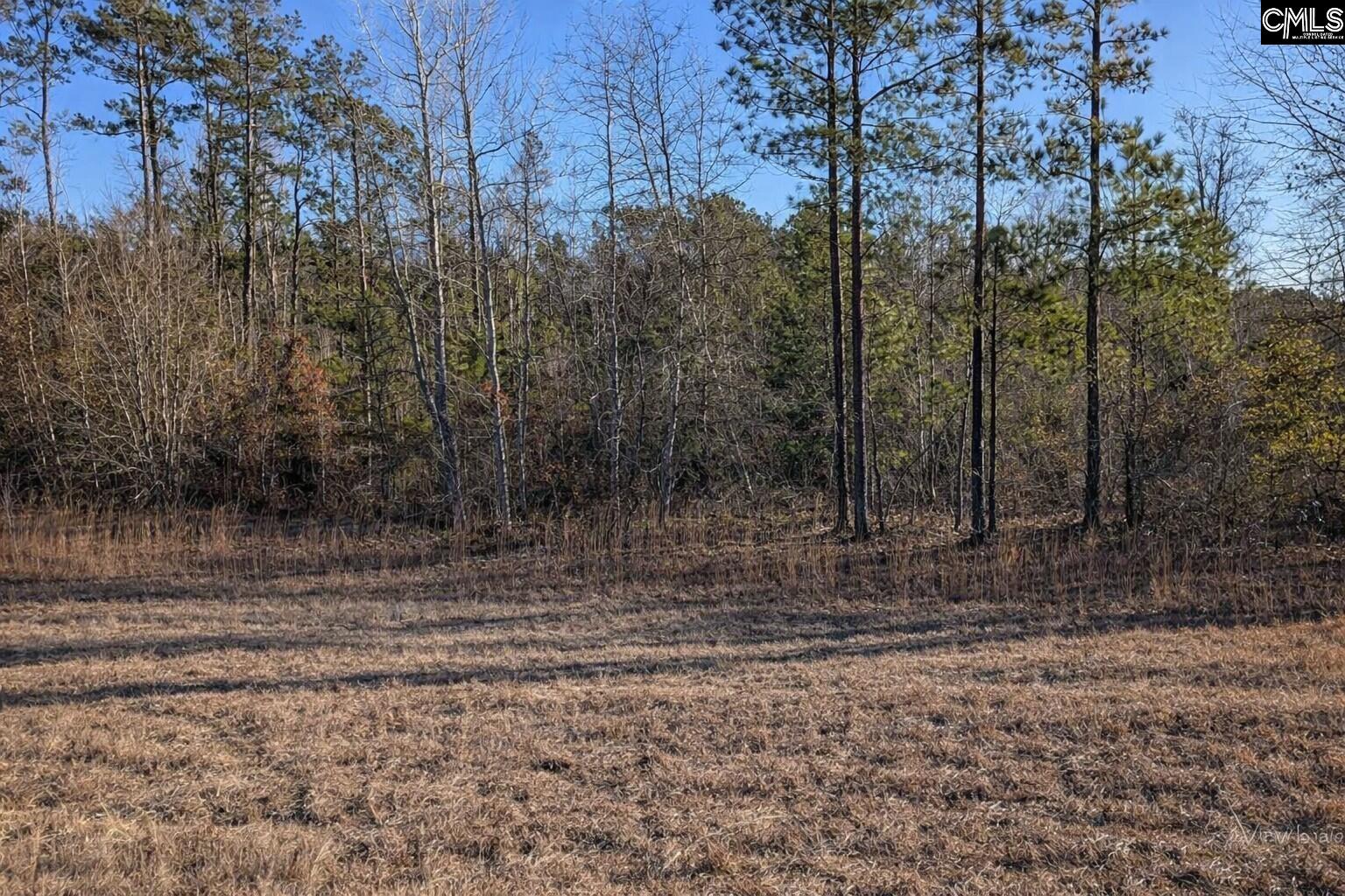 7884 Winnsboro Road UNIT #4 Columbia, SC 29203
