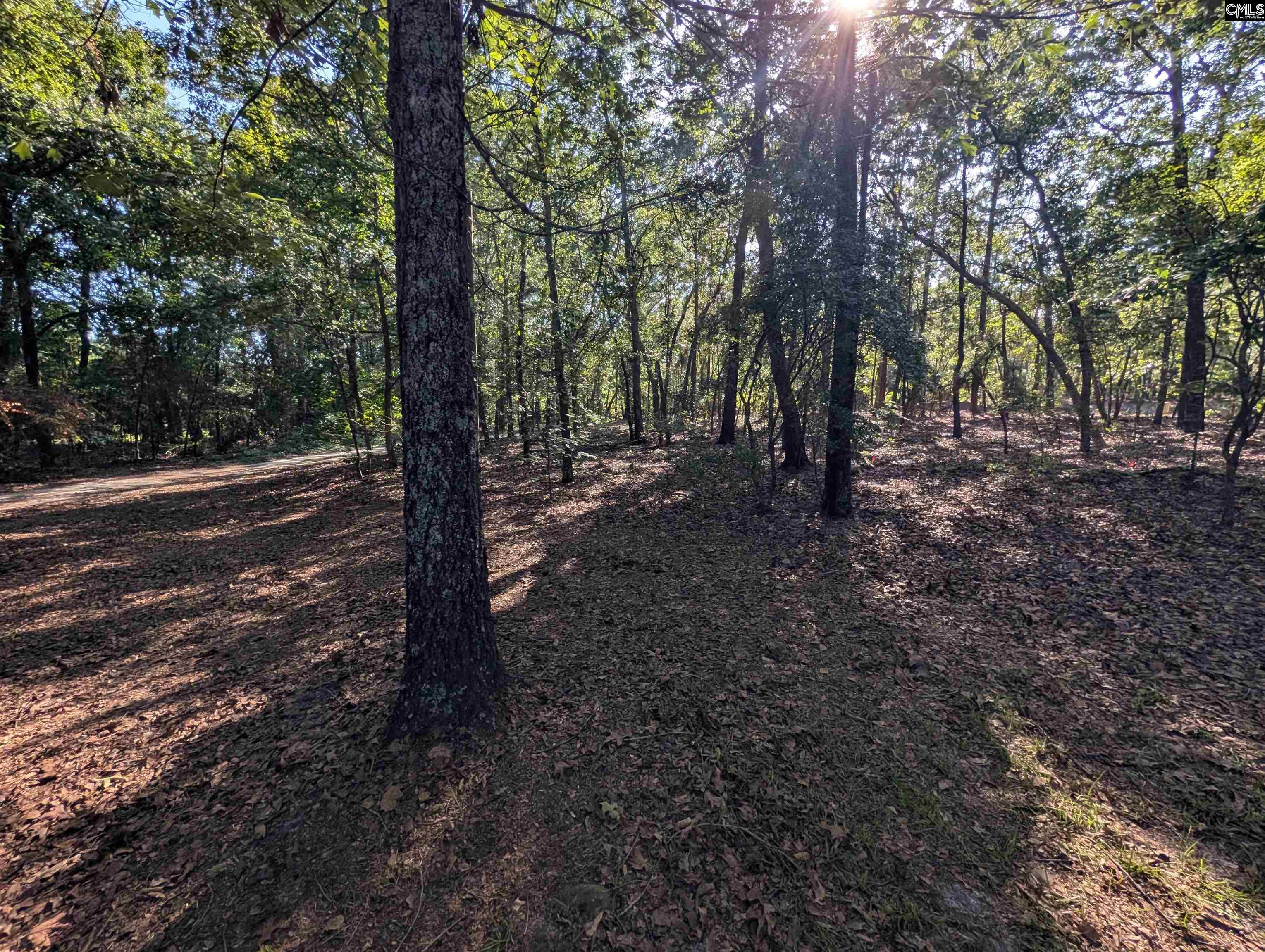 1498 Cassatt Road Cassatt, SC 29045