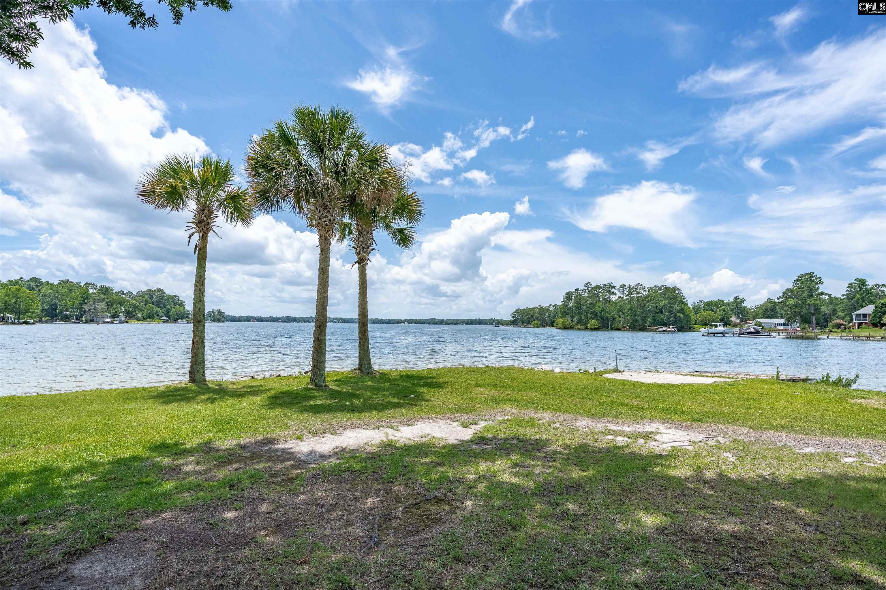 165 Saint Thomas Church Road Chapin, SC 29036
