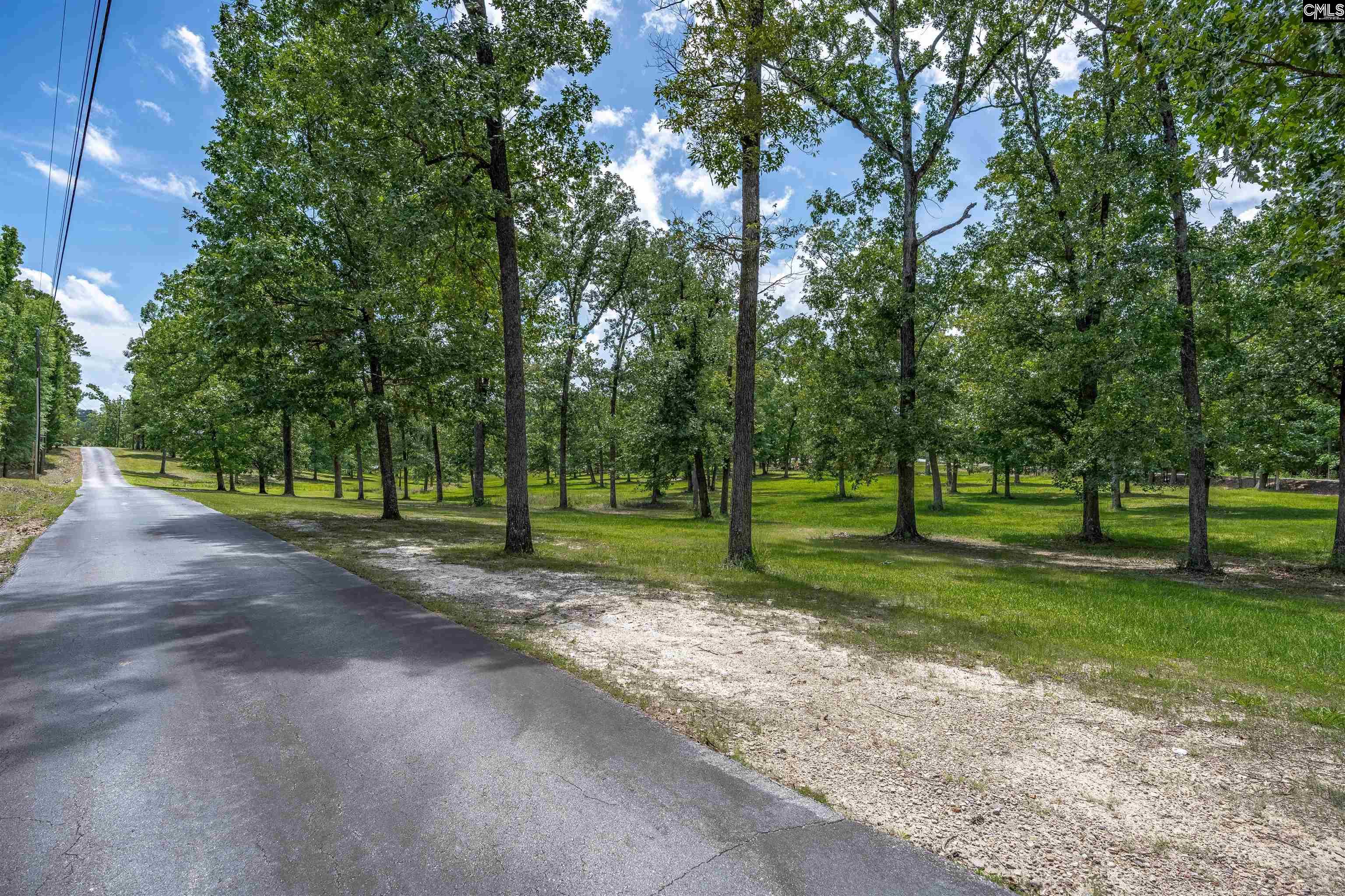 165 Saint Thomas Church Road Chapin, SC 29036