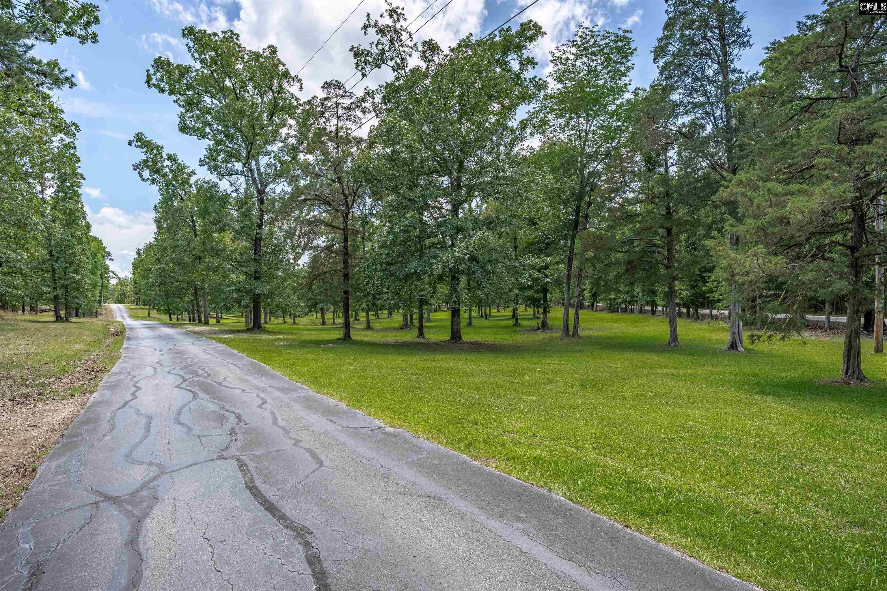 165 Saint Thomas Church Road Chapin, SC 29036
