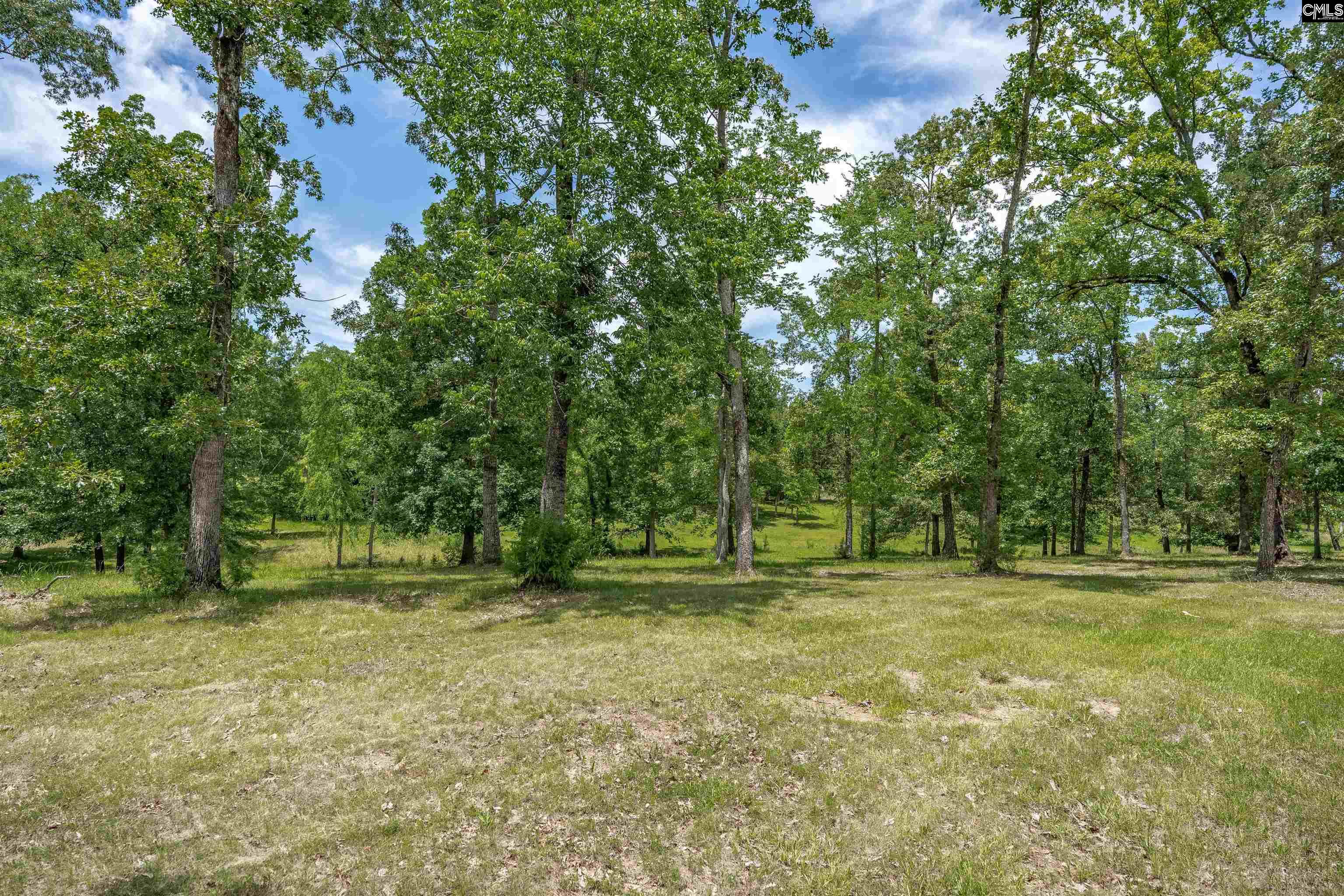 165 Saint Thomas Church Road Chapin, SC 29036