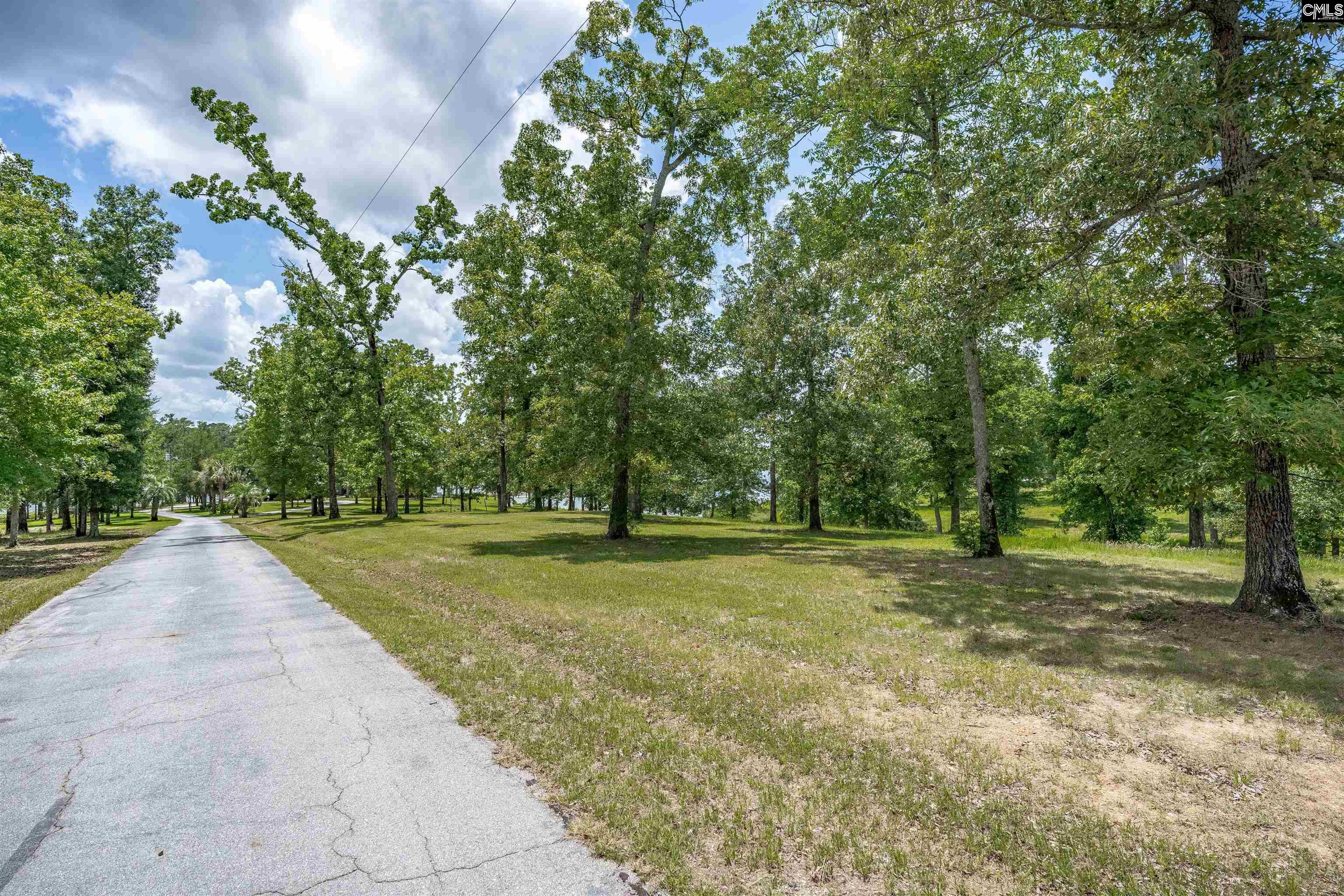 165 Saint Thomas Church Road Chapin, SC 29036