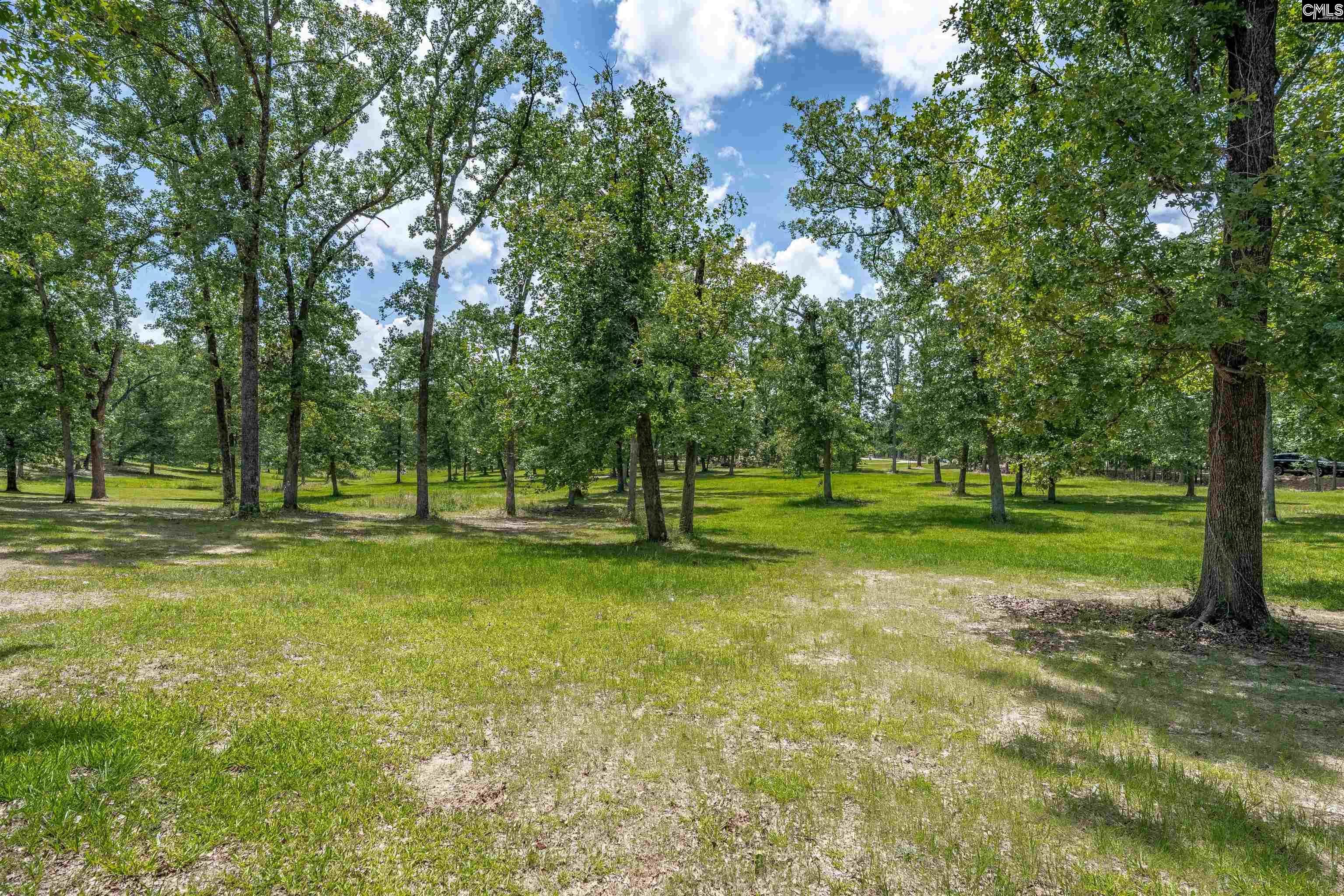 165 Saint Thomas Church Road Chapin, SC 29036