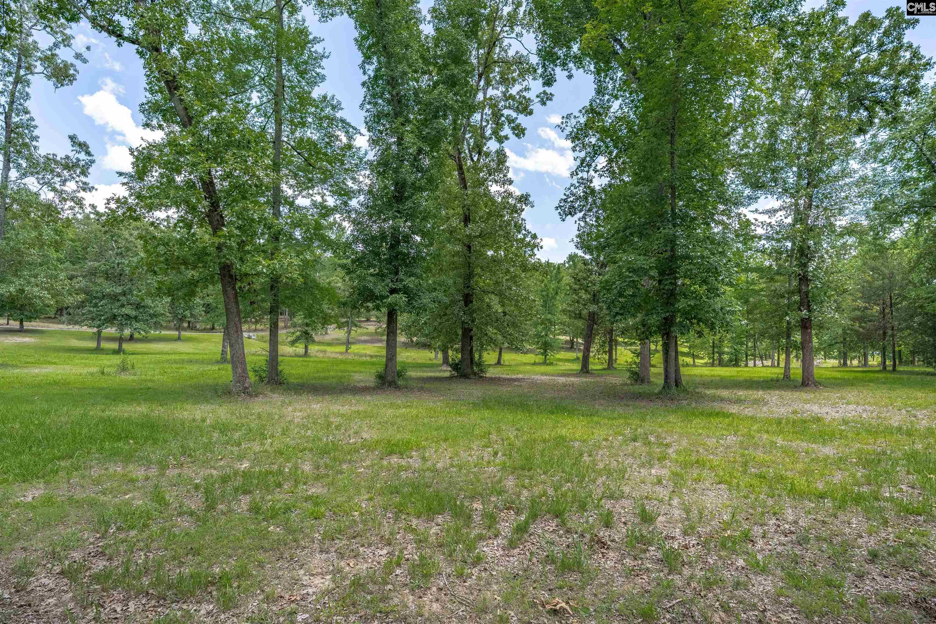 165 Saint Thomas Church Road Chapin, SC 29036