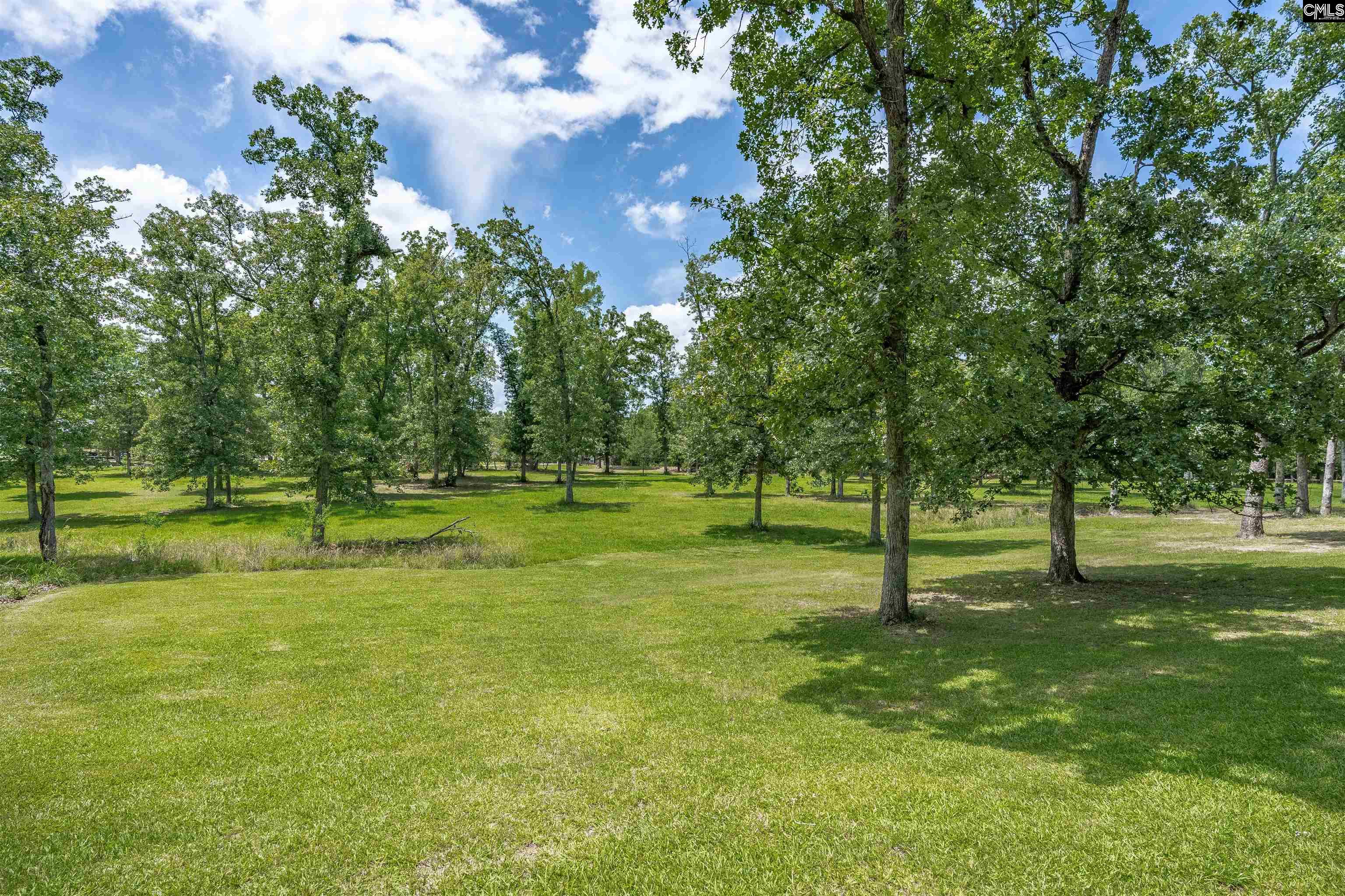165 Saint Thomas Church Road Chapin, SC 29036