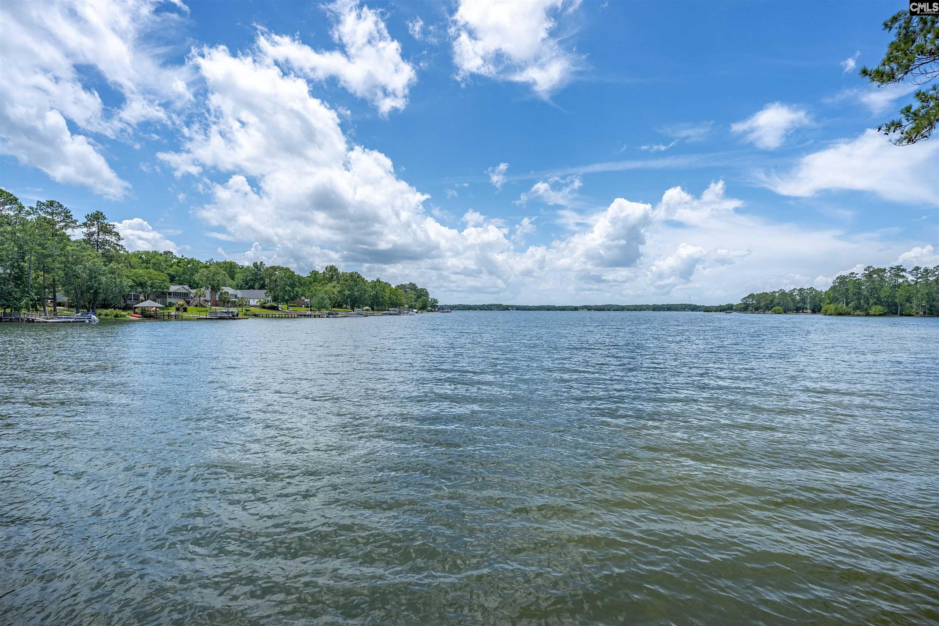 165 Saint Thomas Church Road Chapin, SC 29036