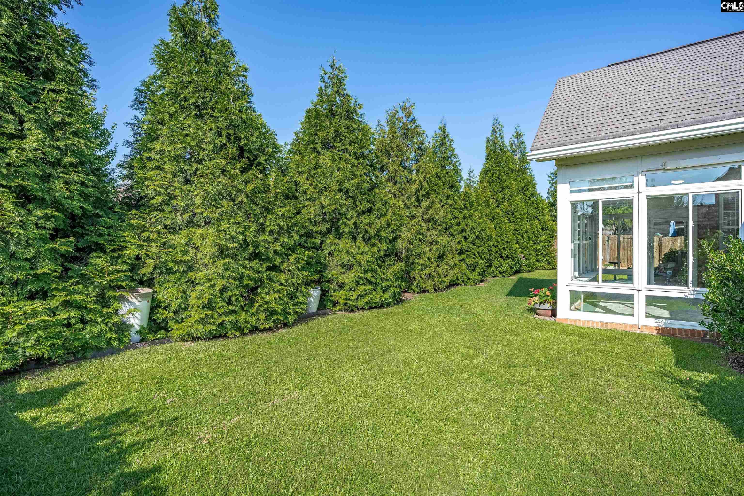 525 Everton Drive Chapin, SC 29036