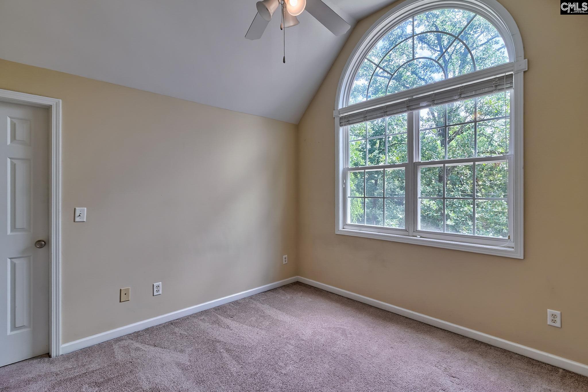 256 Mary Drive Chapin, SC 29036