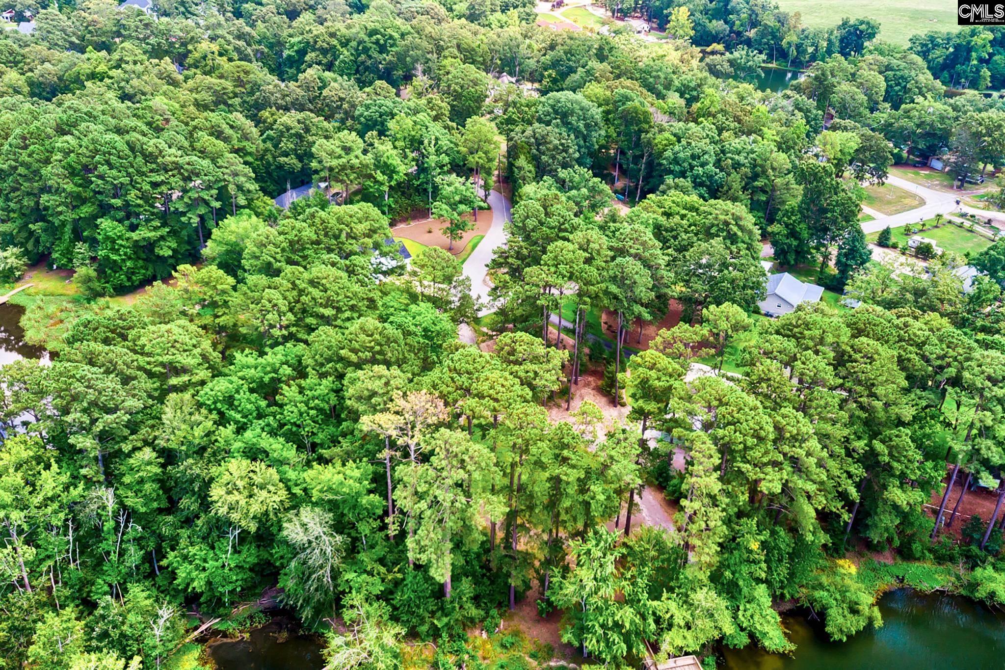 256 Mary Drive Chapin, SC 29036