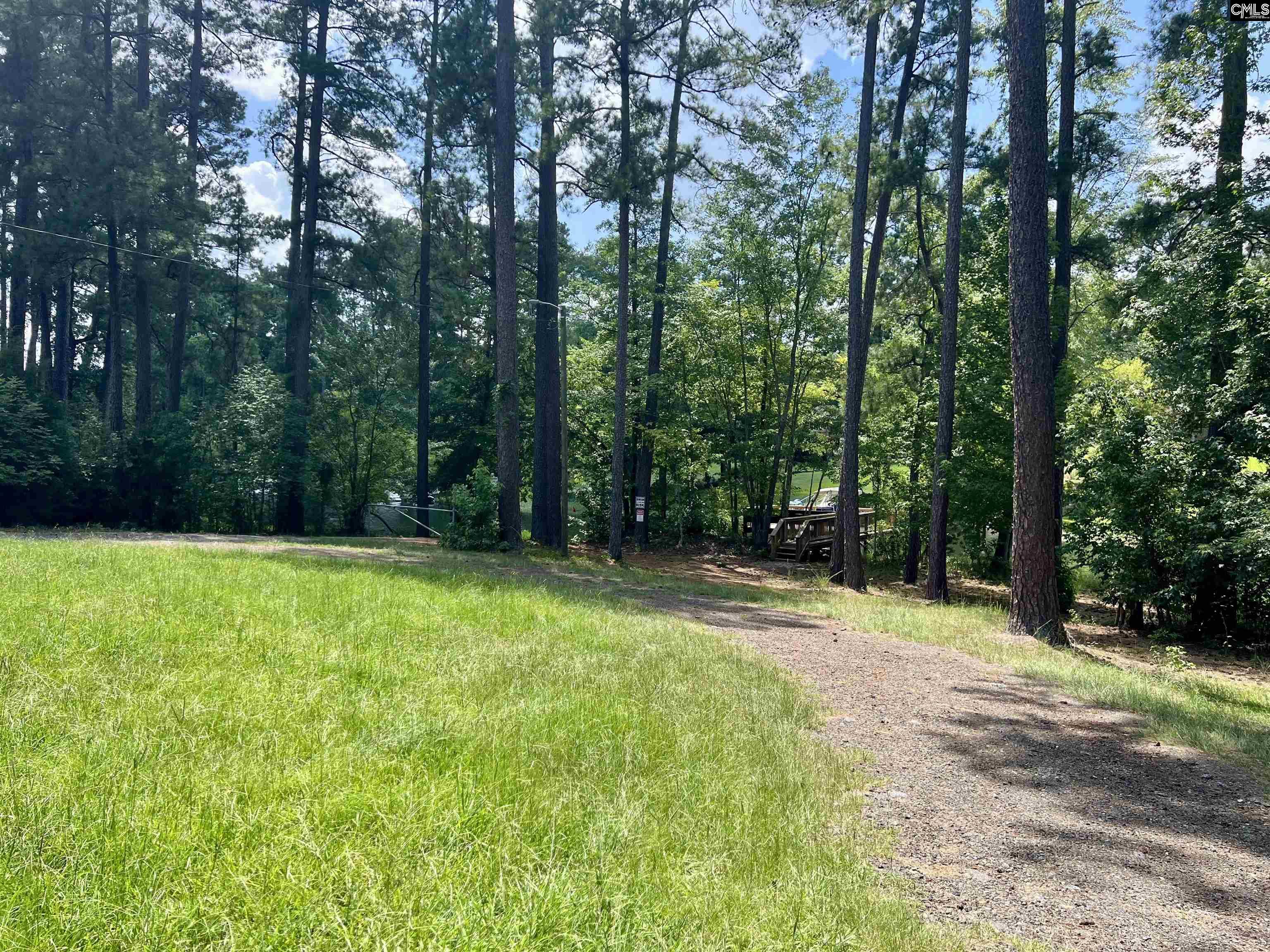 256 Mary Drive Chapin, SC 29036