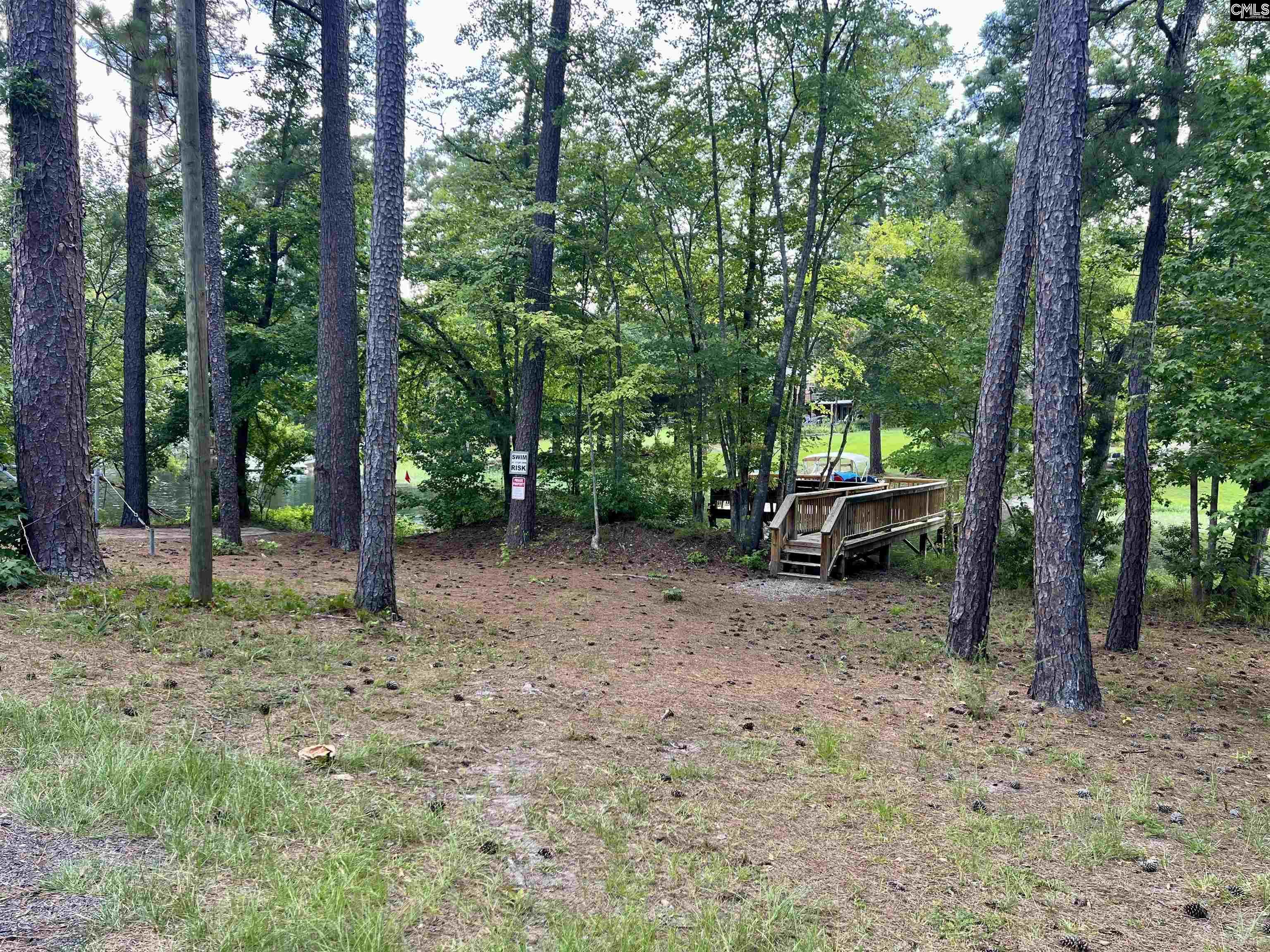 256 Mary Drive Chapin, SC 29036