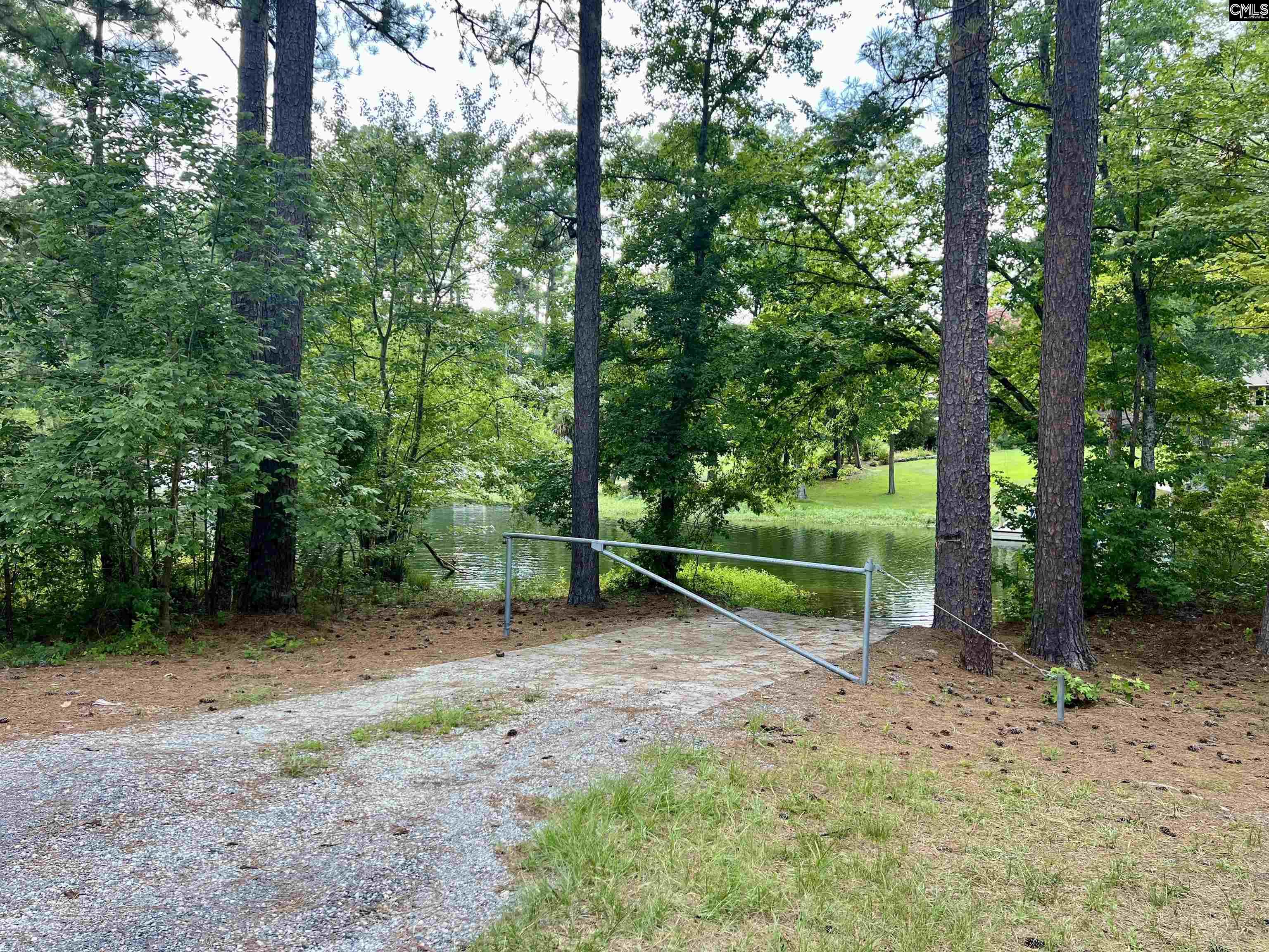 256 Mary Drive Chapin, SC 29036