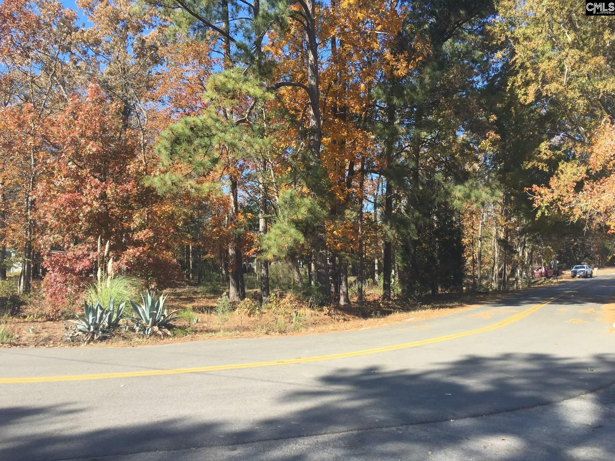 514 Shadowood Drive Irmo, SC 29063