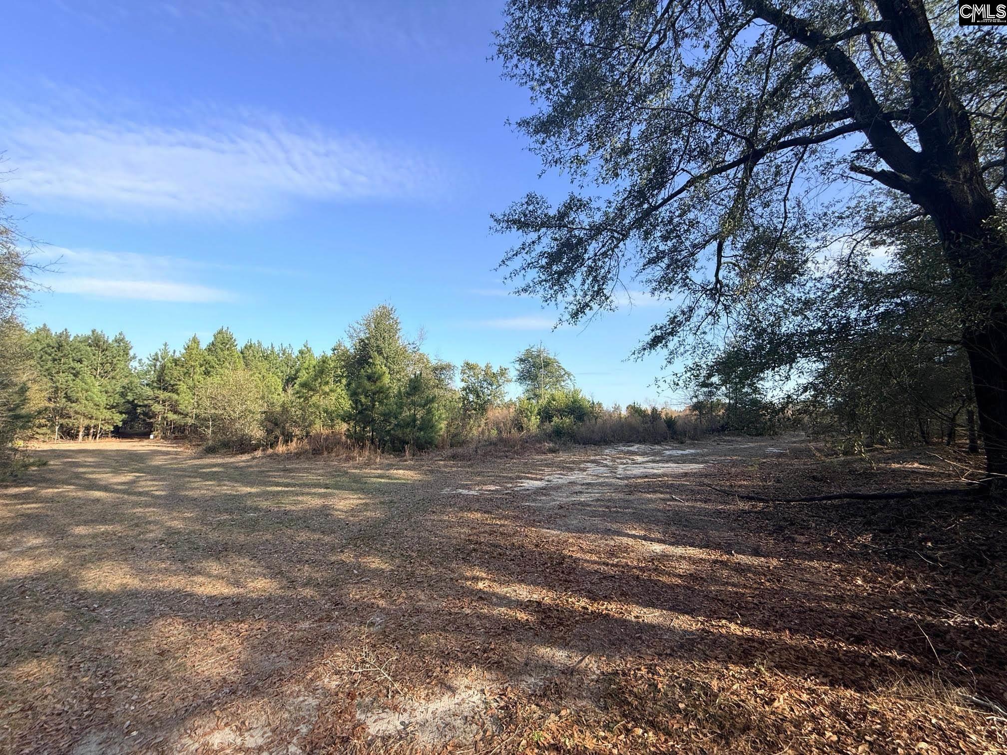 Festival Trail Road UNIT #5 Salley, SC 29137