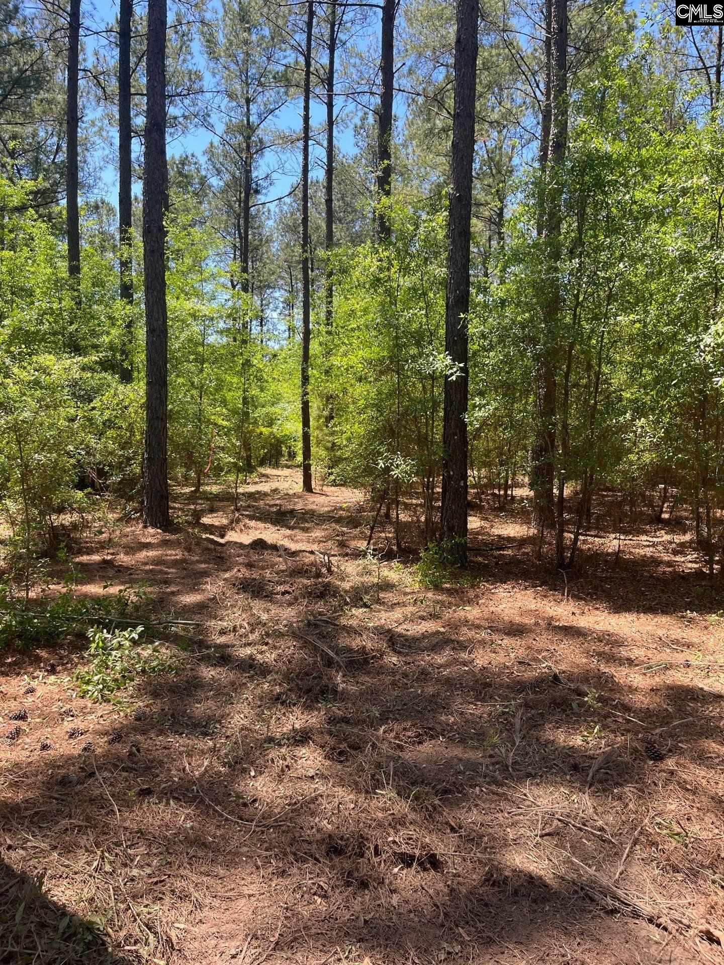 SDA 1 Salley Road UNIT SDA 1 Salley, SC 29137