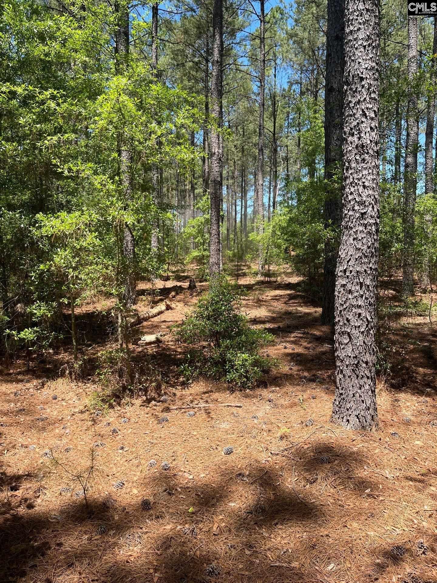 SDA 1 Salley Road UNIT SDA 1 Salley, SC 29137