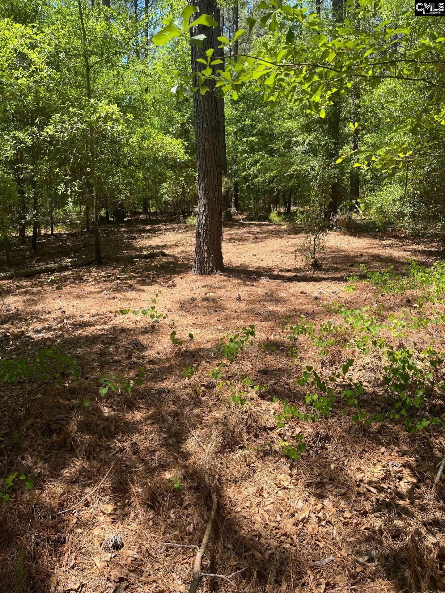 SDA 1 Salley Road UNIT SDA 1 Salley, SC 29137