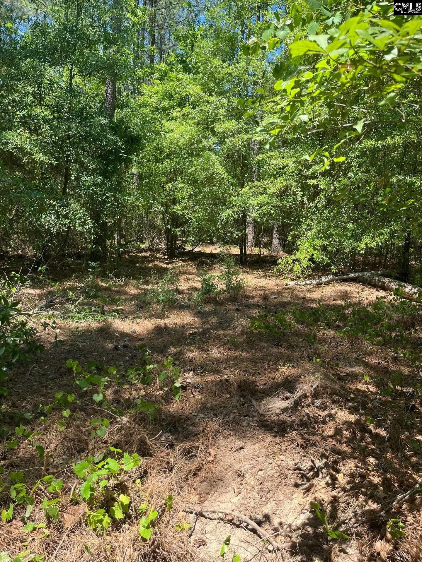 SDA 1 Salley Road UNIT SDA 1 Salley, SC 29137