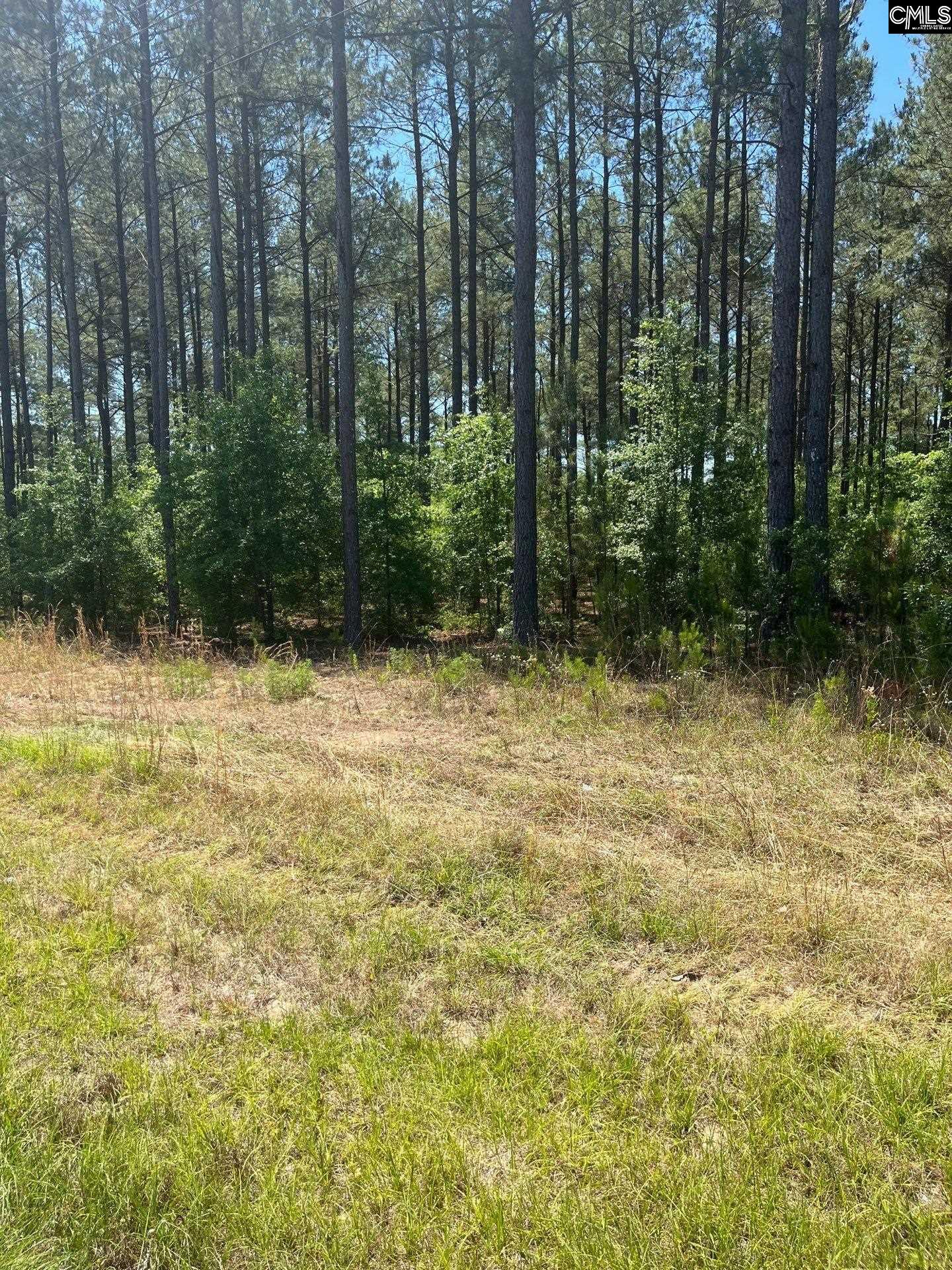 SDA 1 Salley Road UNIT SDA 1 Salley, SC 29137