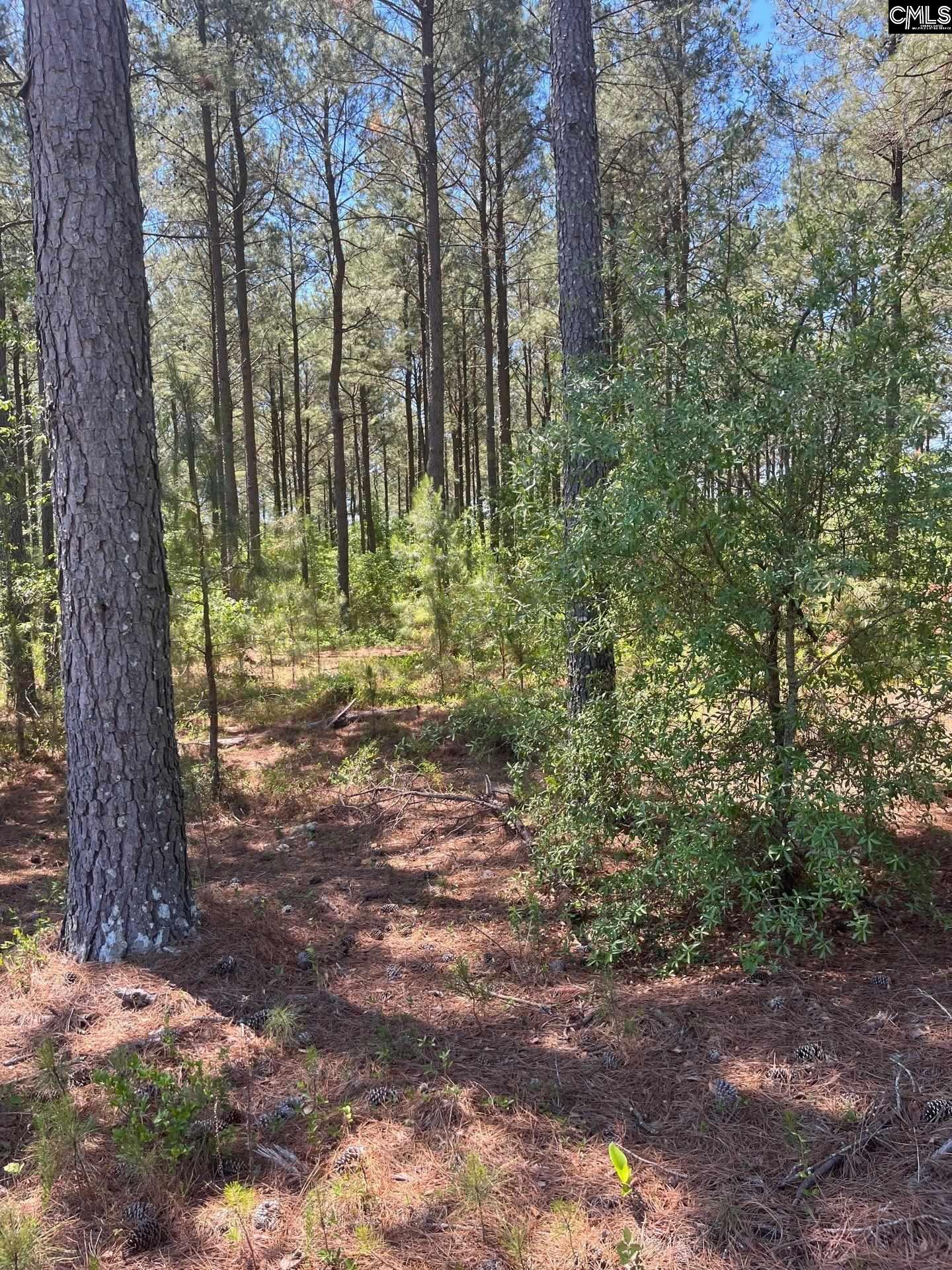 SDA 1 Salley Road UNIT SDA 1 Salley, SC 29137