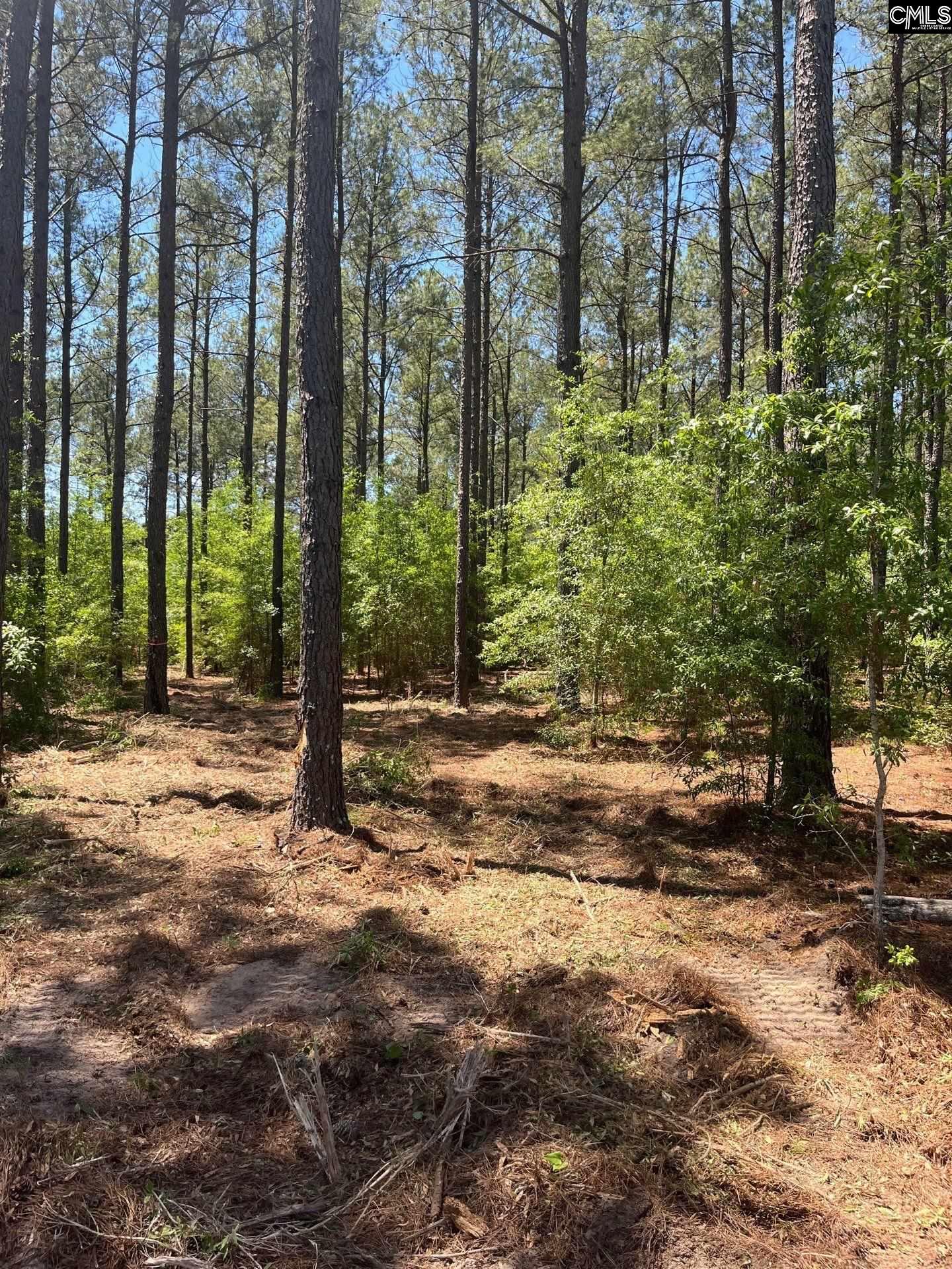 SDA 1 Salley Road UNIT SDA 1 Salley, SC 29137