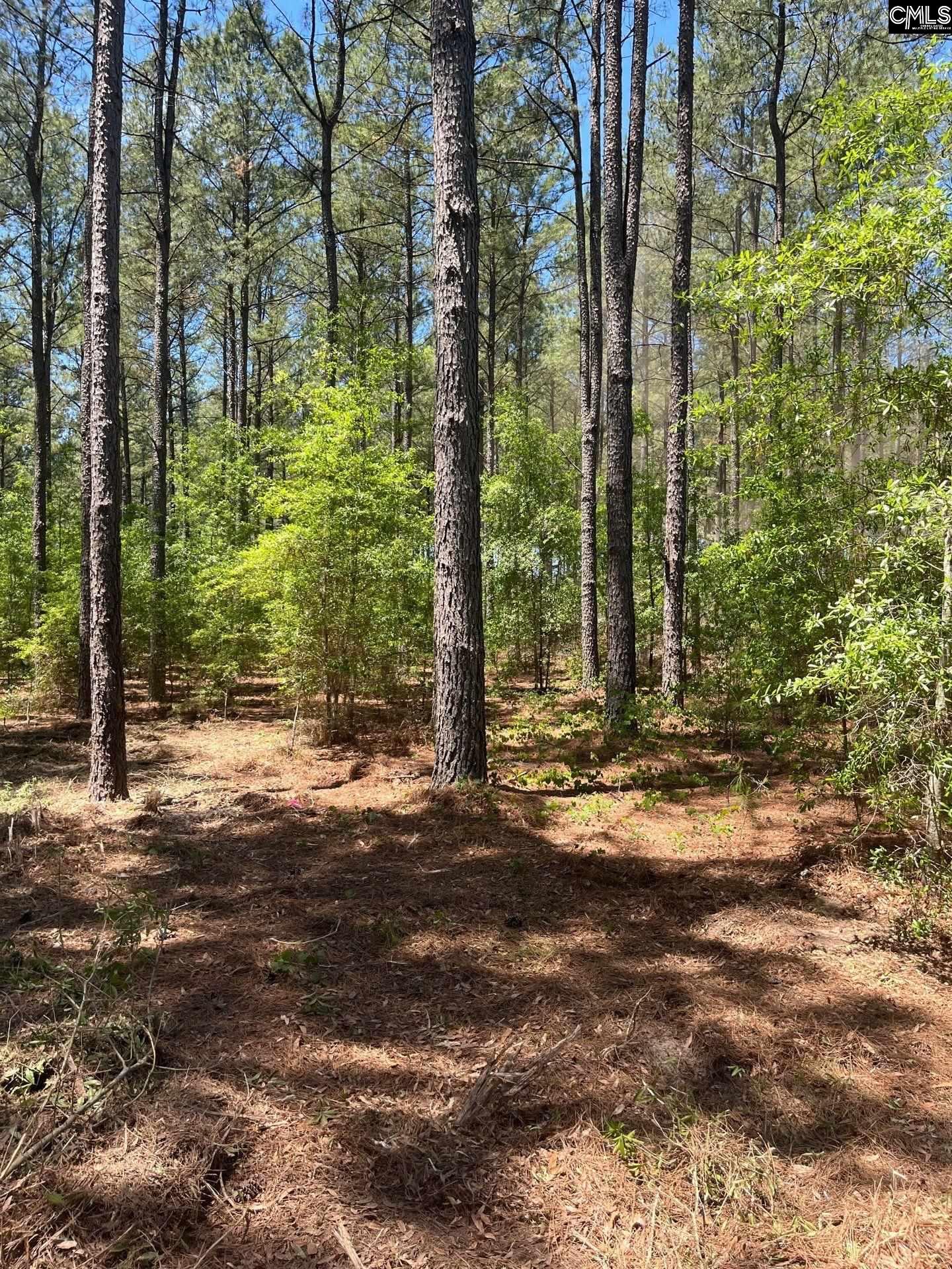 SDA 1 Salley Road UNIT SDA 1 Salley, SC 29137