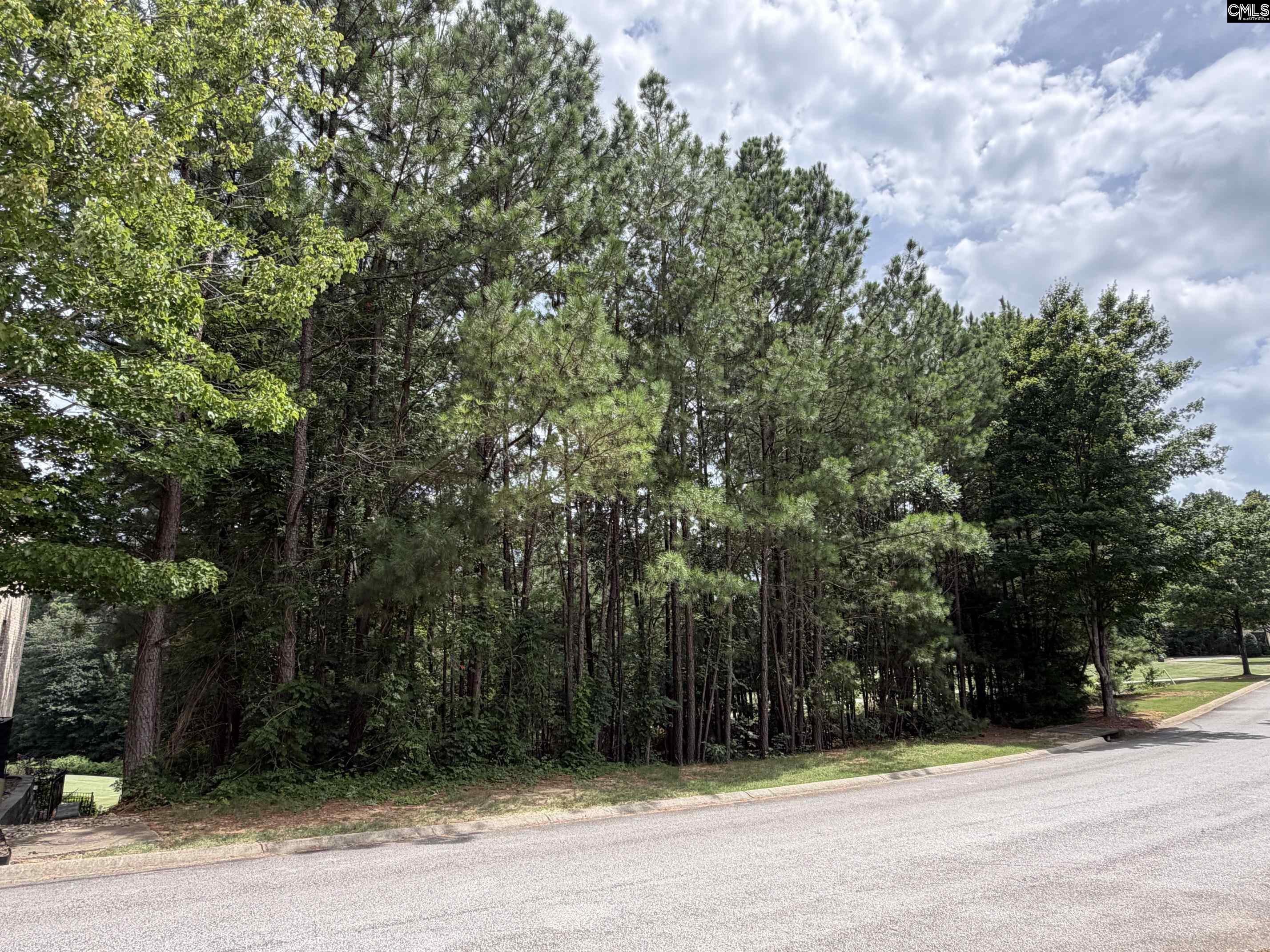 122 Peppermint Lane Blythewood, SC 29016
