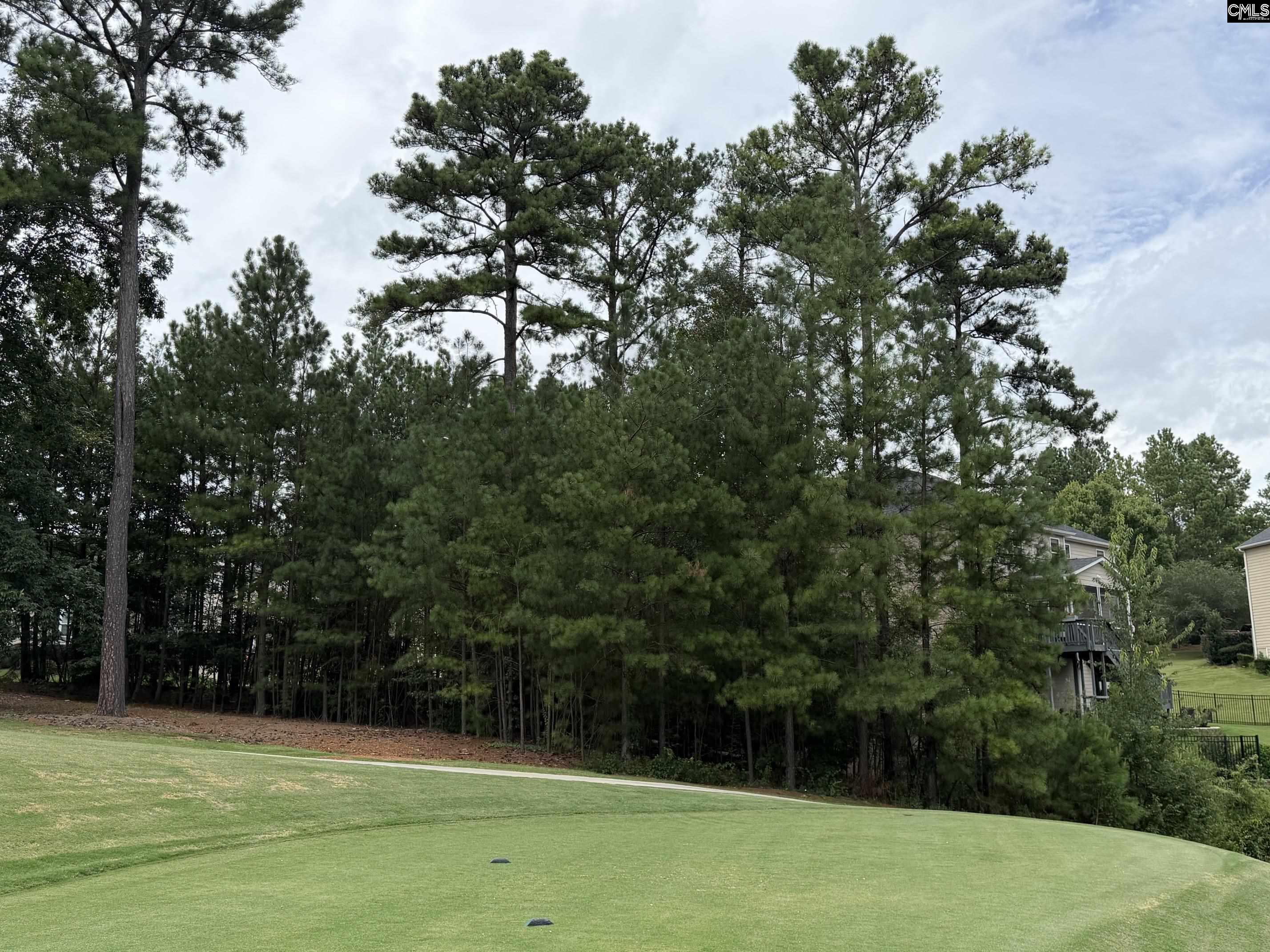 122 Peppermint Lane Blythewood, SC 29016