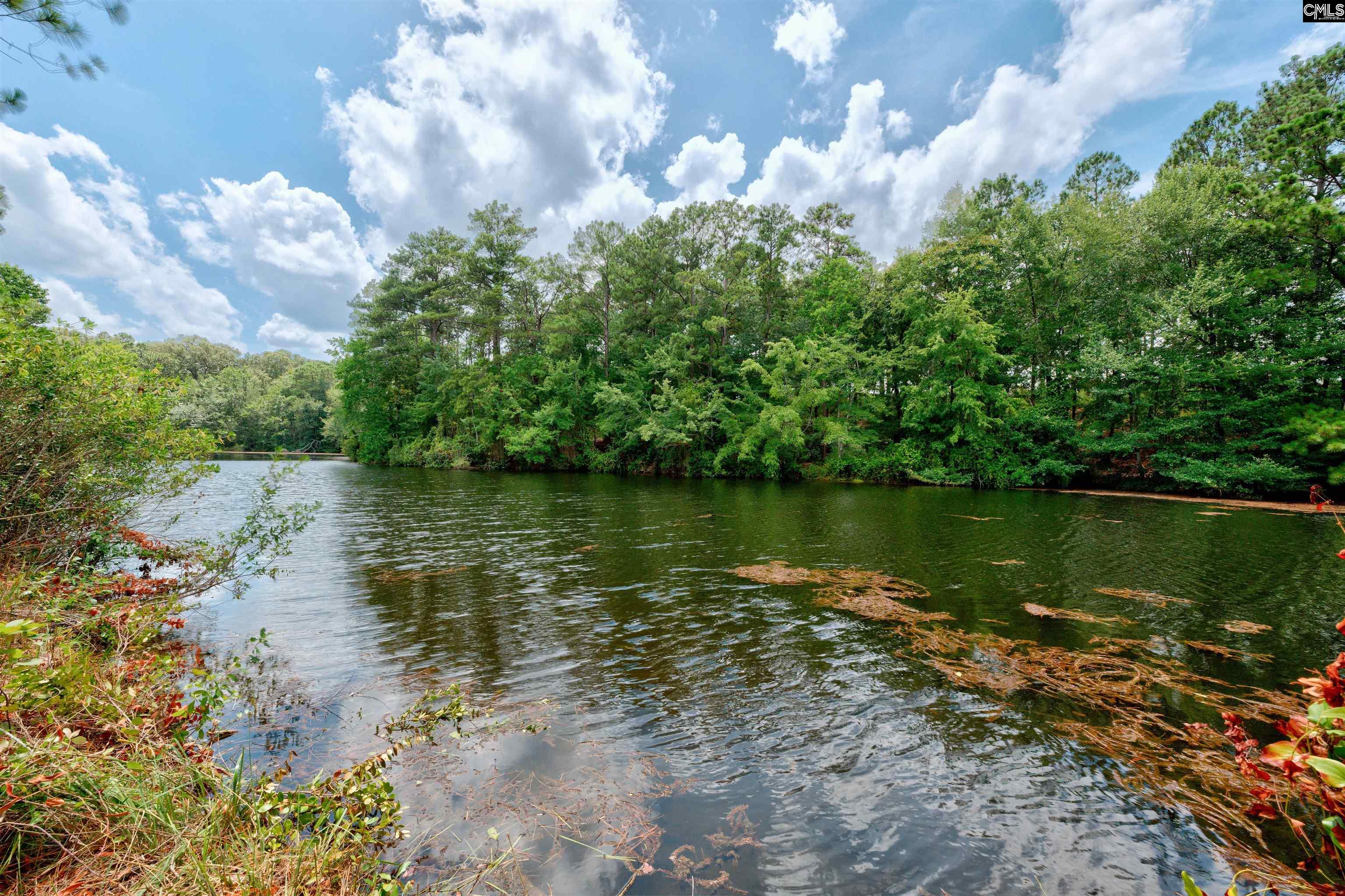 204 Sapphire Gem Lane Elgin, SC 29045