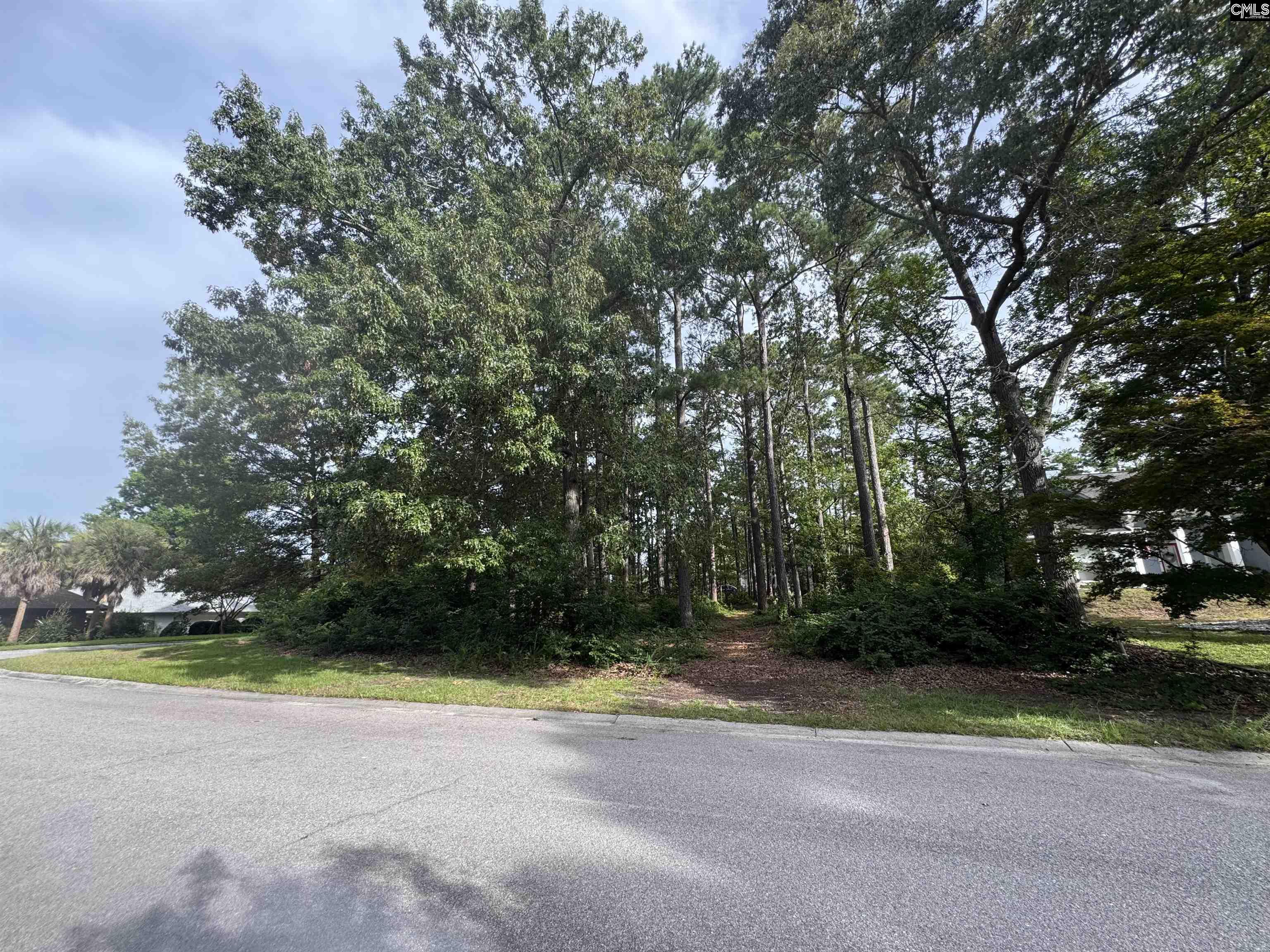 164 Emerald Lake Road