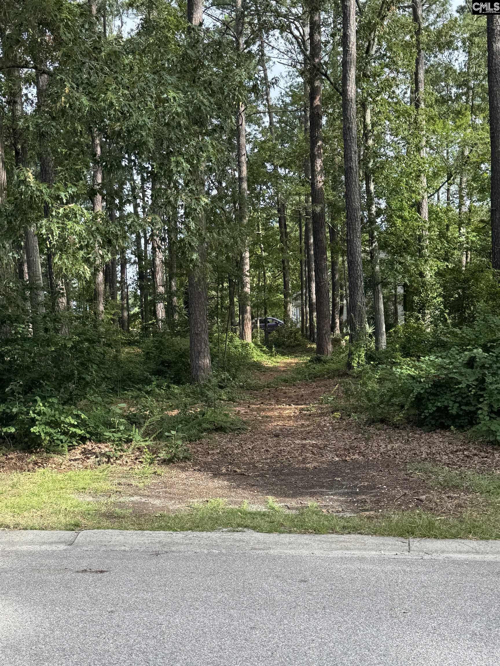 164 Emerald Lake Road