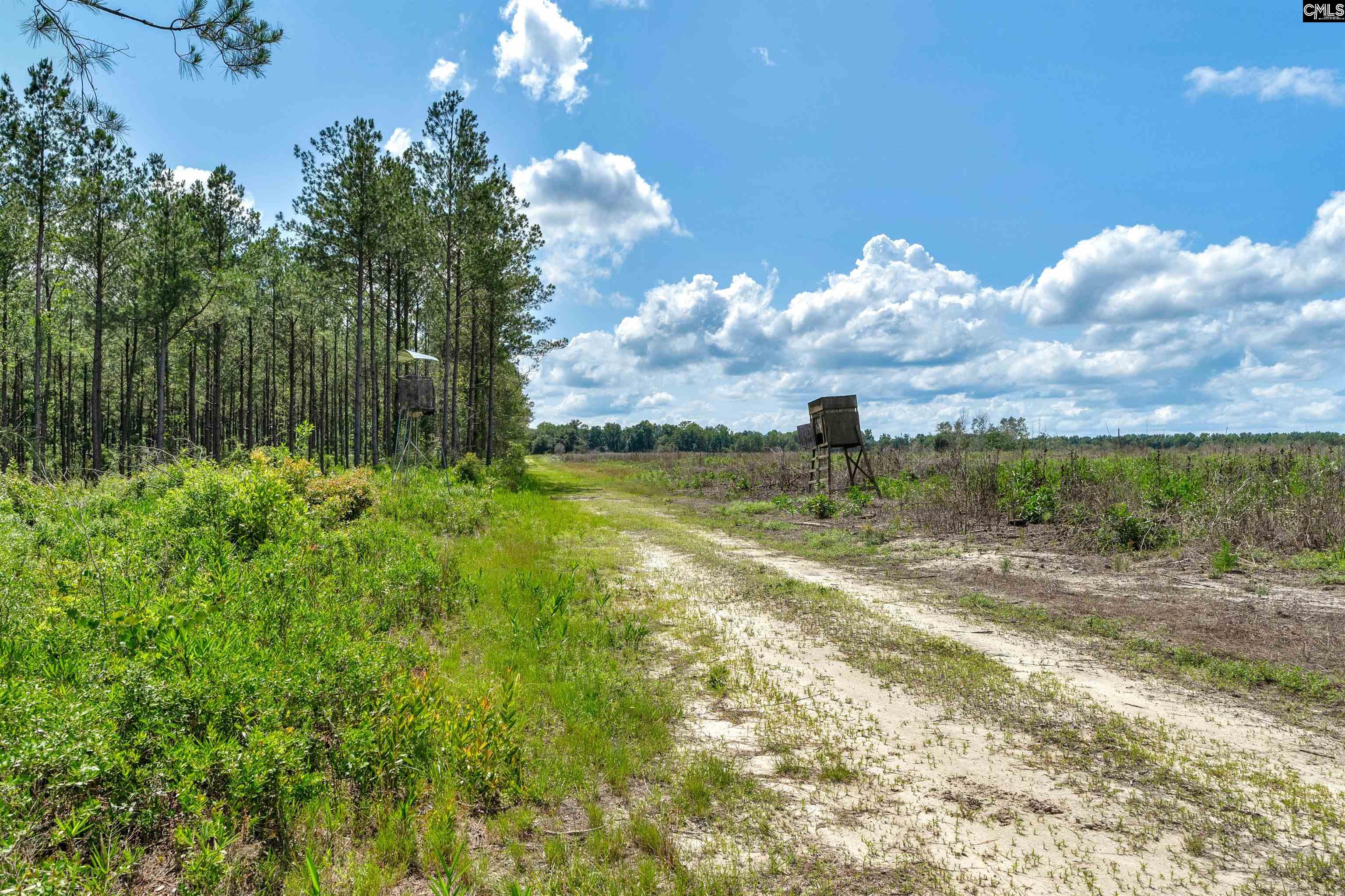 0000 June Burn Road Manning, SC 29102