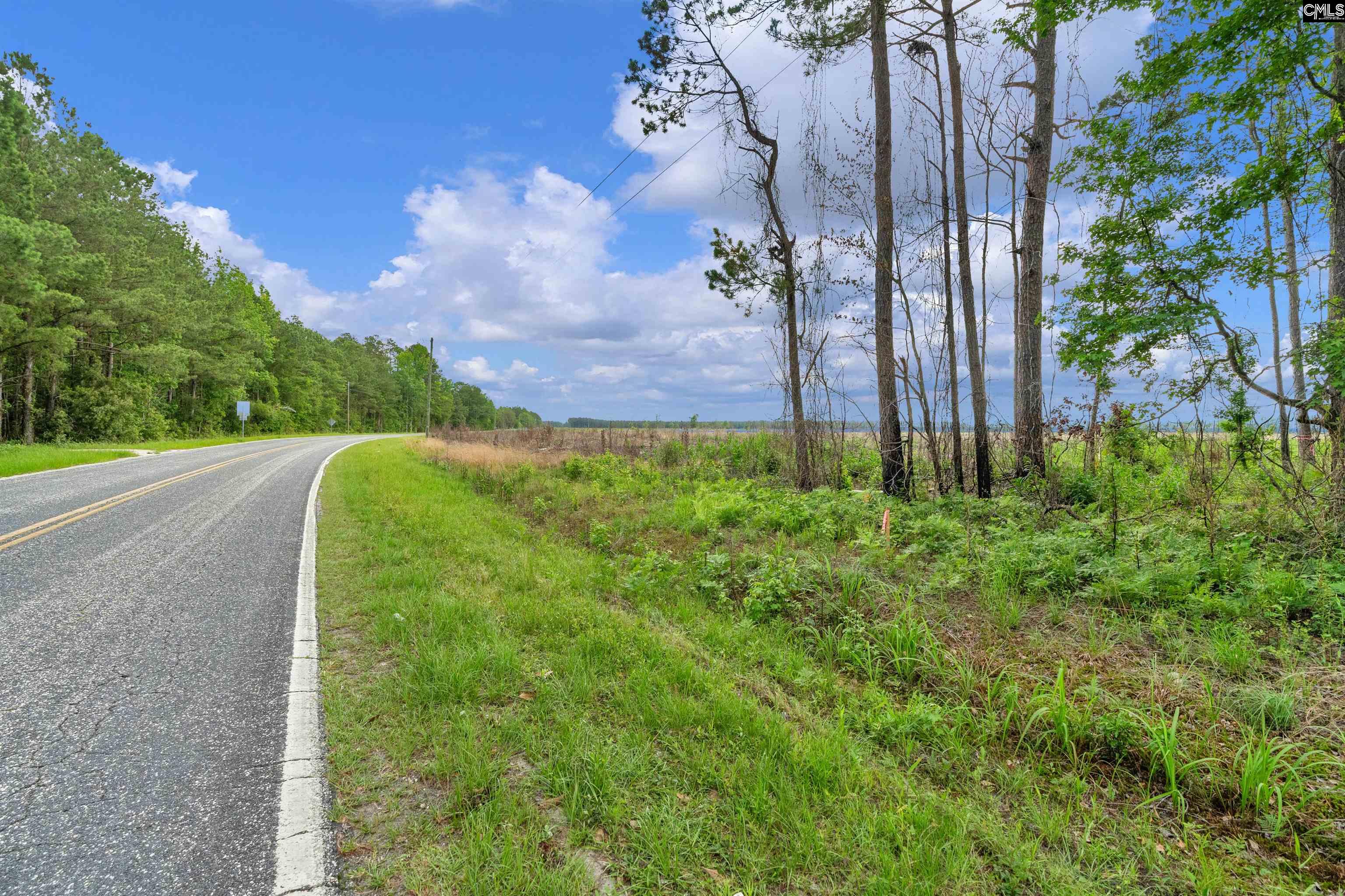 0000 June Burn Road Manning, SC 29102