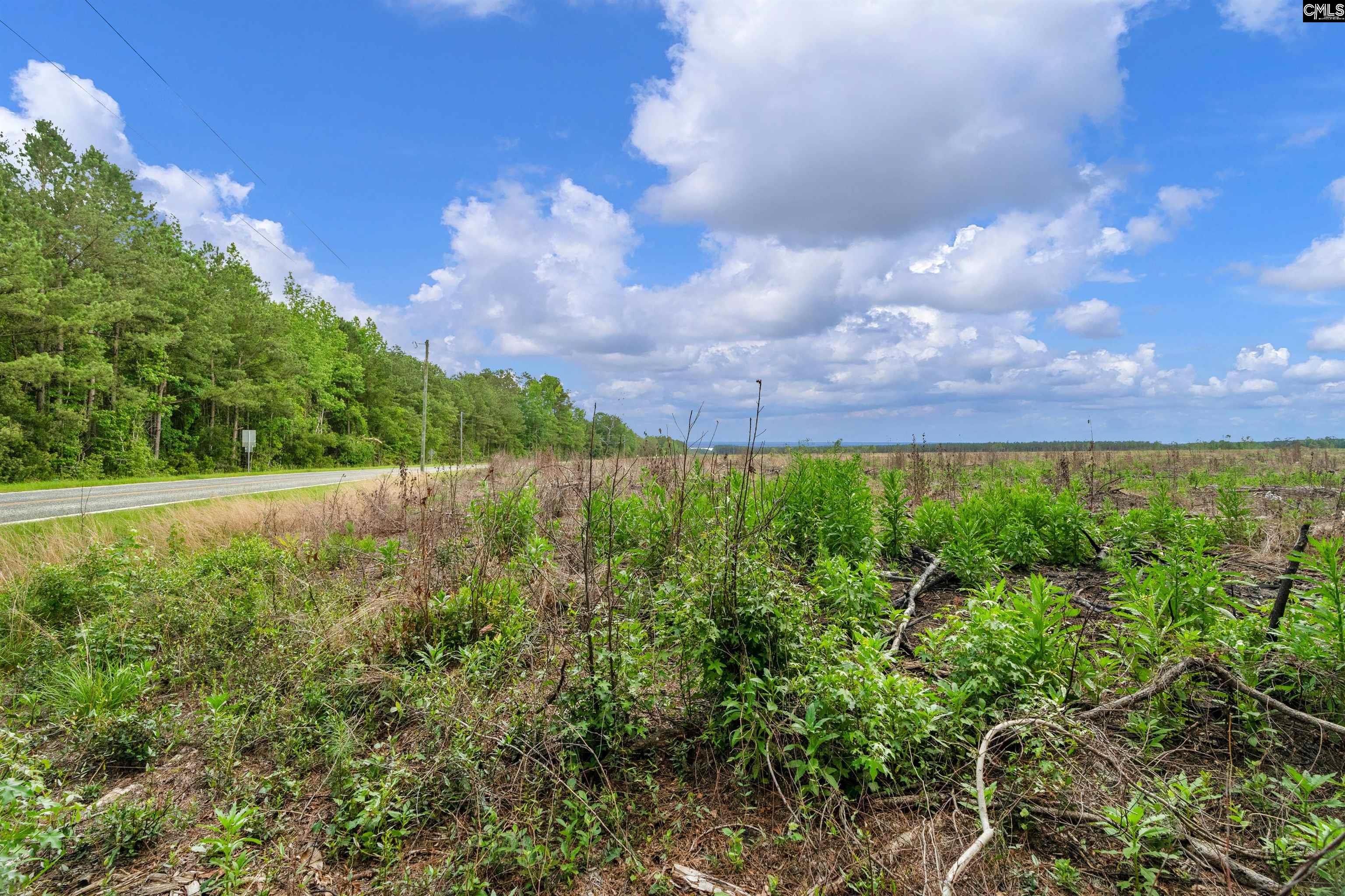 0000 June Burn Road Manning, SC 29102