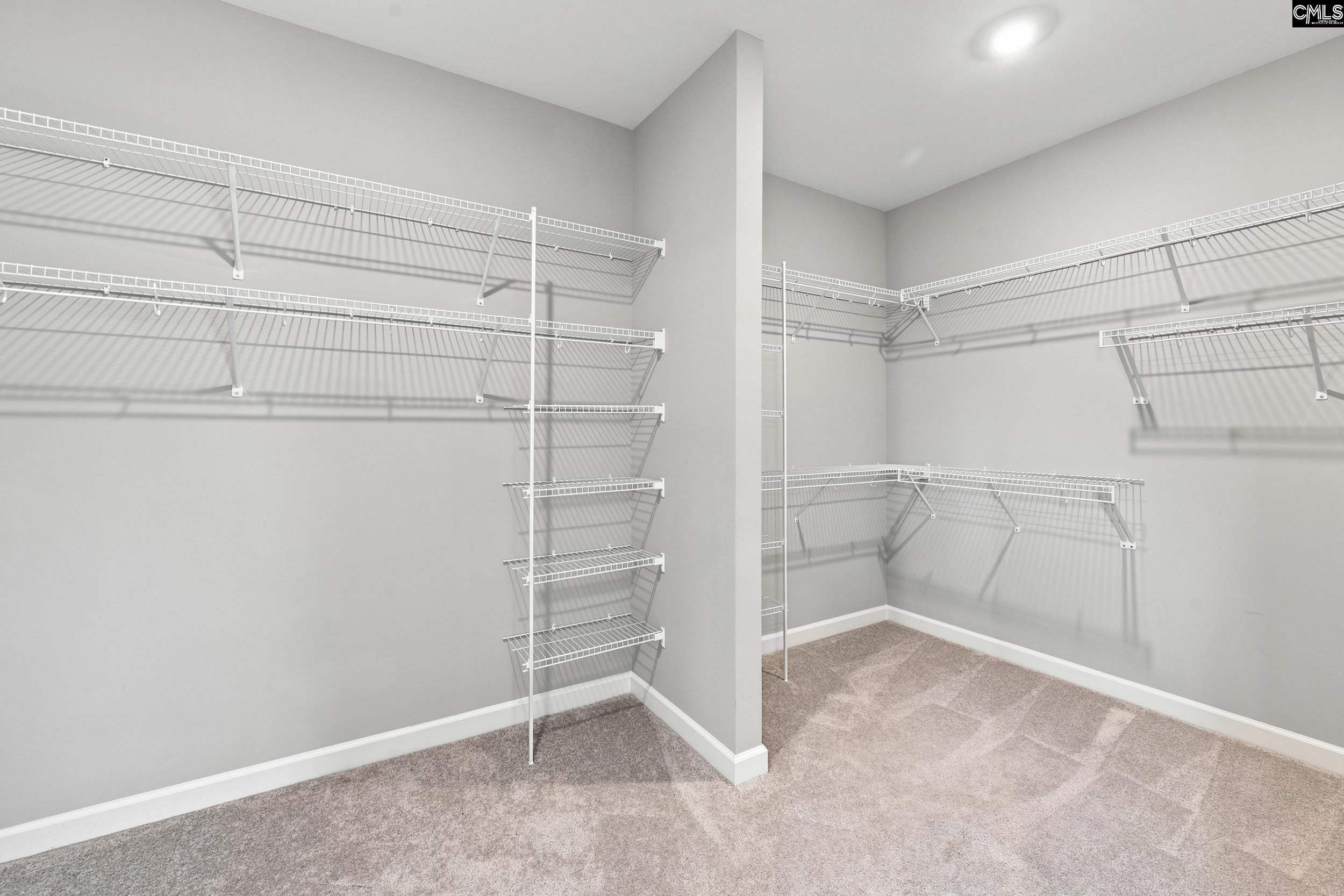 2360 Hadley Crossing, Chapin — photo 41