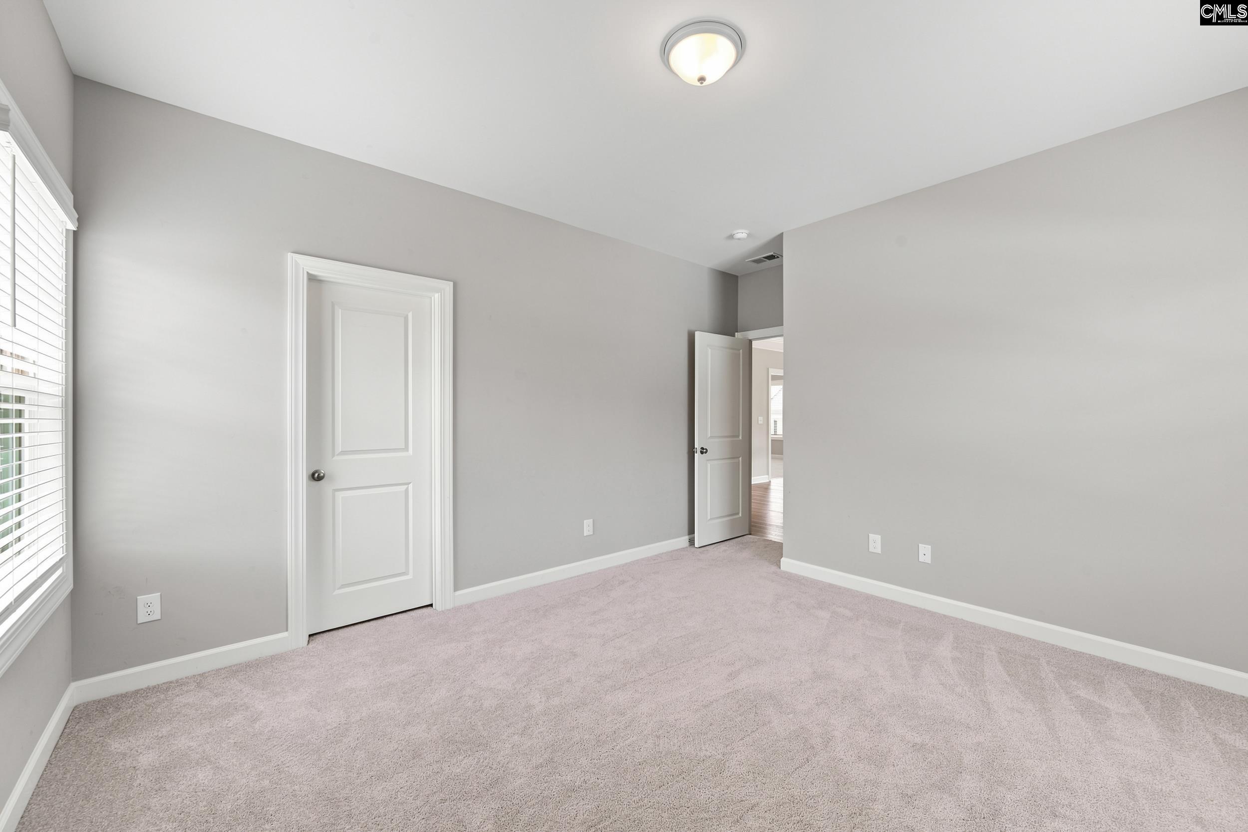 2360 Hadley Crossing, Chapin — photo 43
