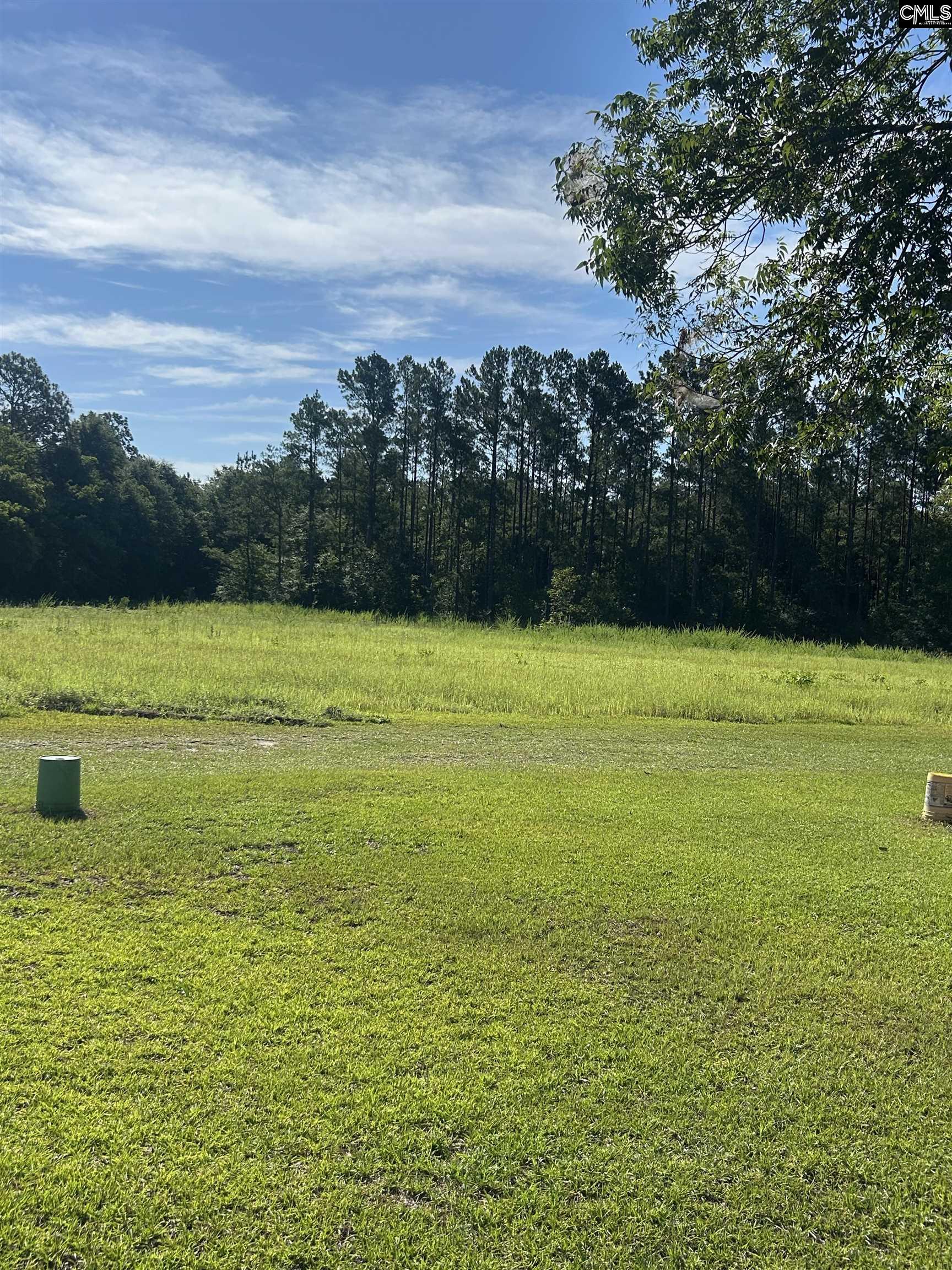 145 Harvey Berry Road Pelion, SC 29123