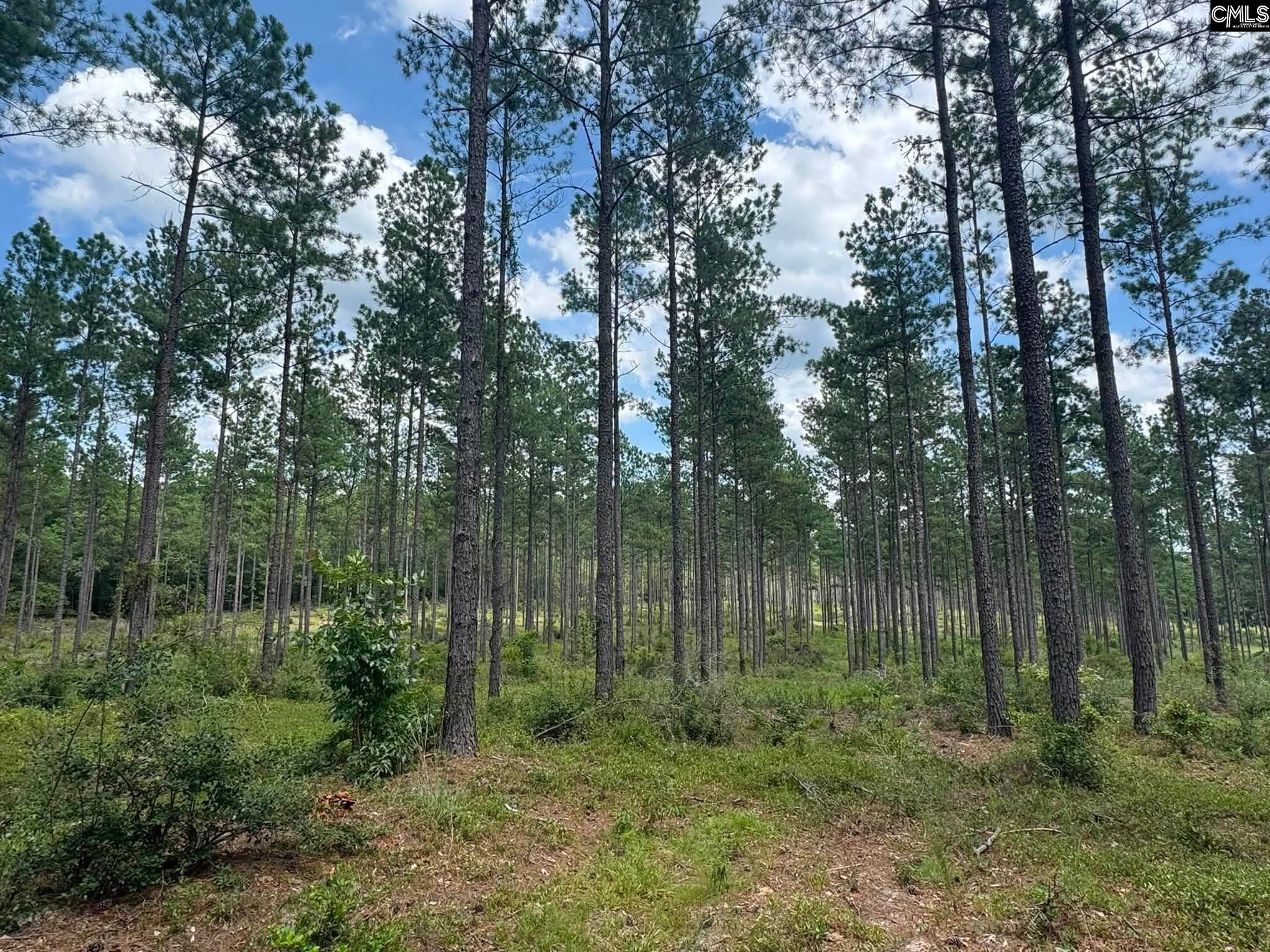  Beaver Creek Road