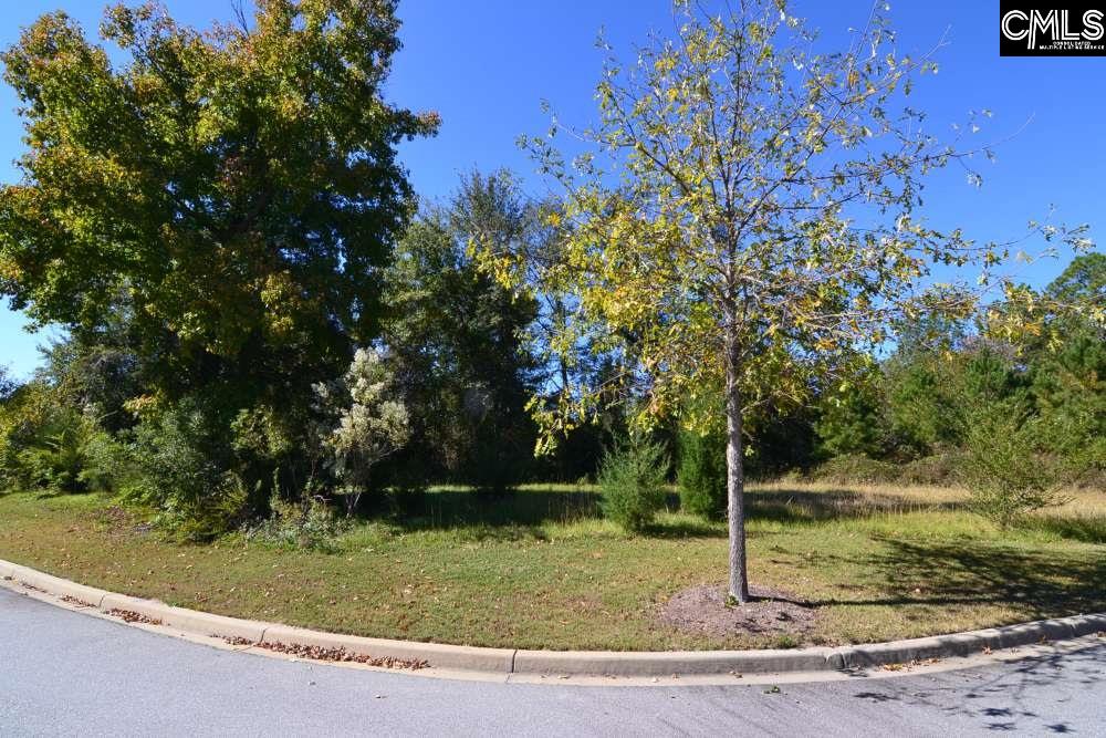 15 Blythe View Court
