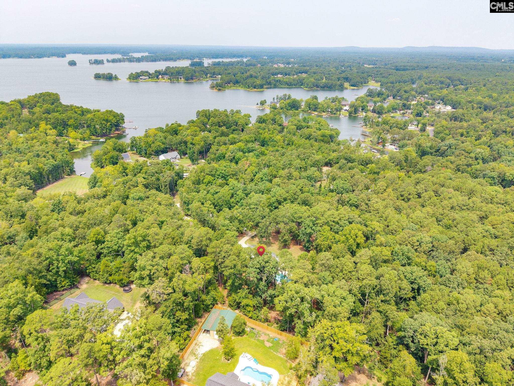 445 Lakemont Drive, Chapin — photo 43