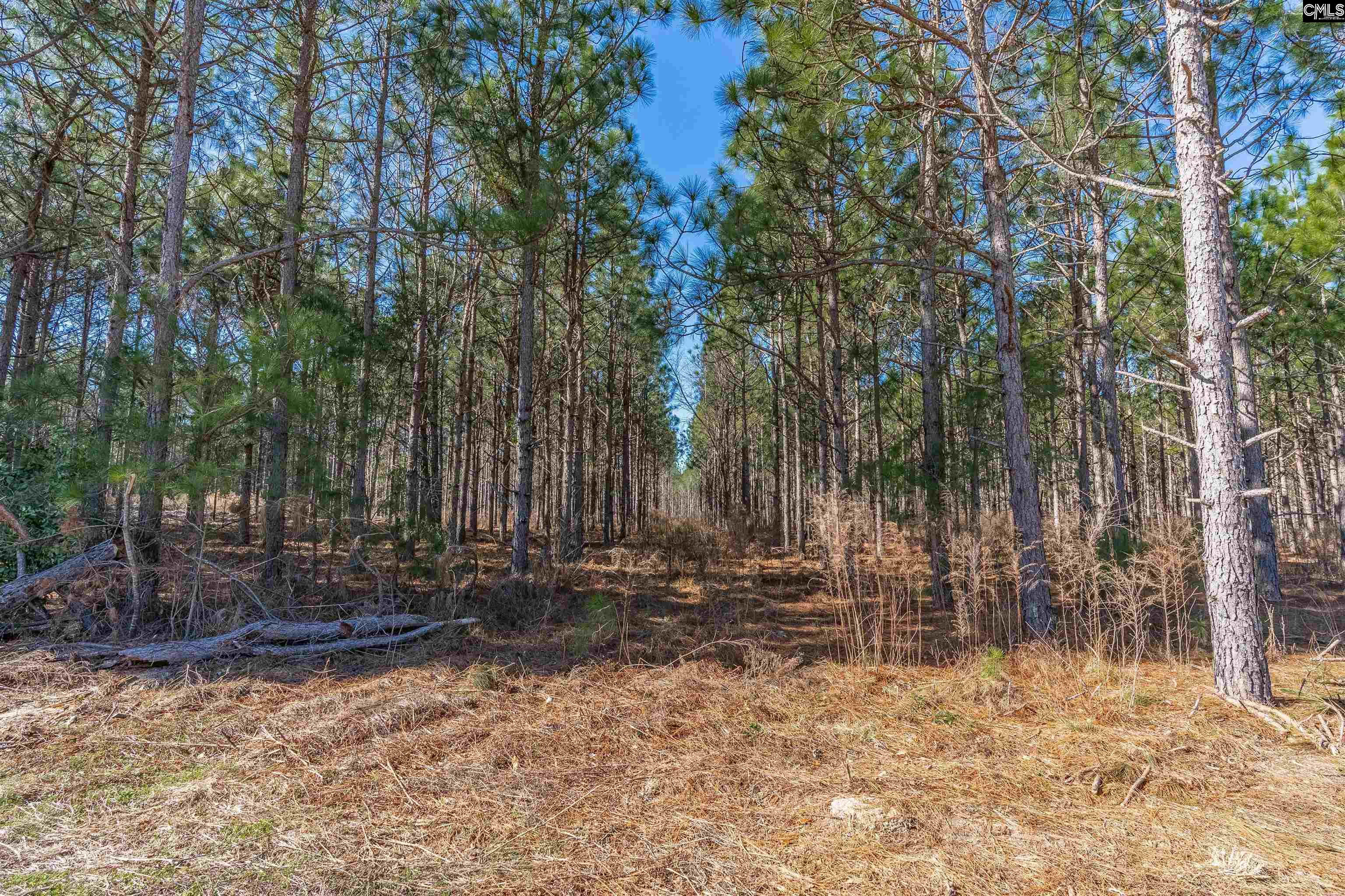 Lot 3 Fairview Road